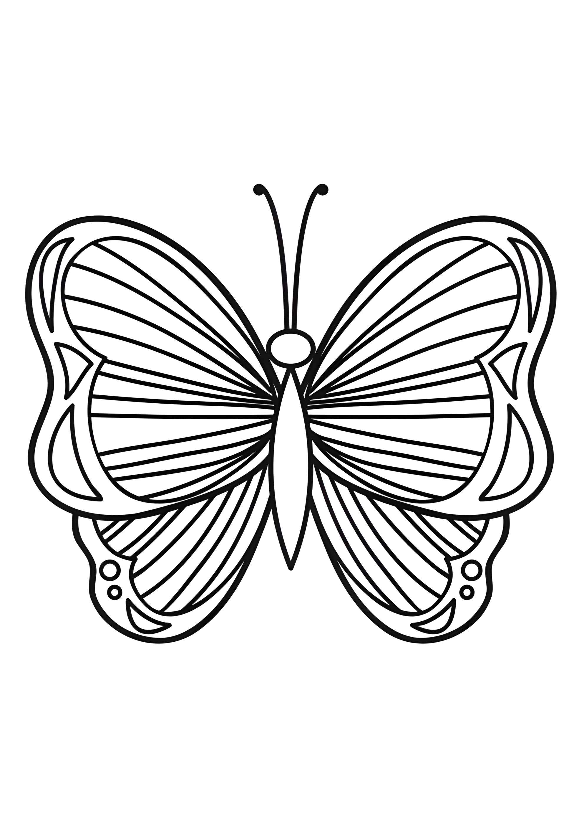 Раскраска Красивая полосатая бабочка