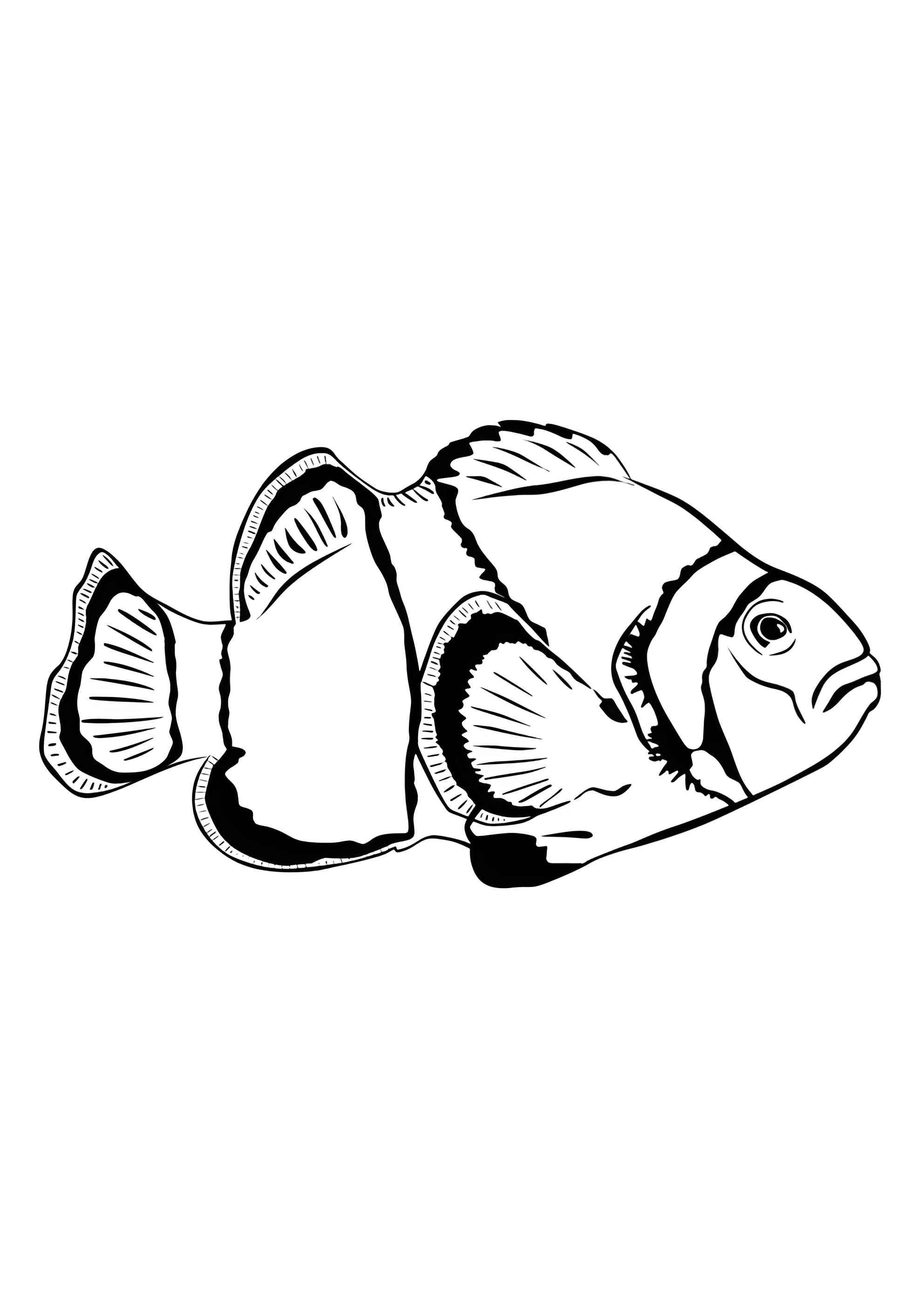 Раскраска Летающая рыбка