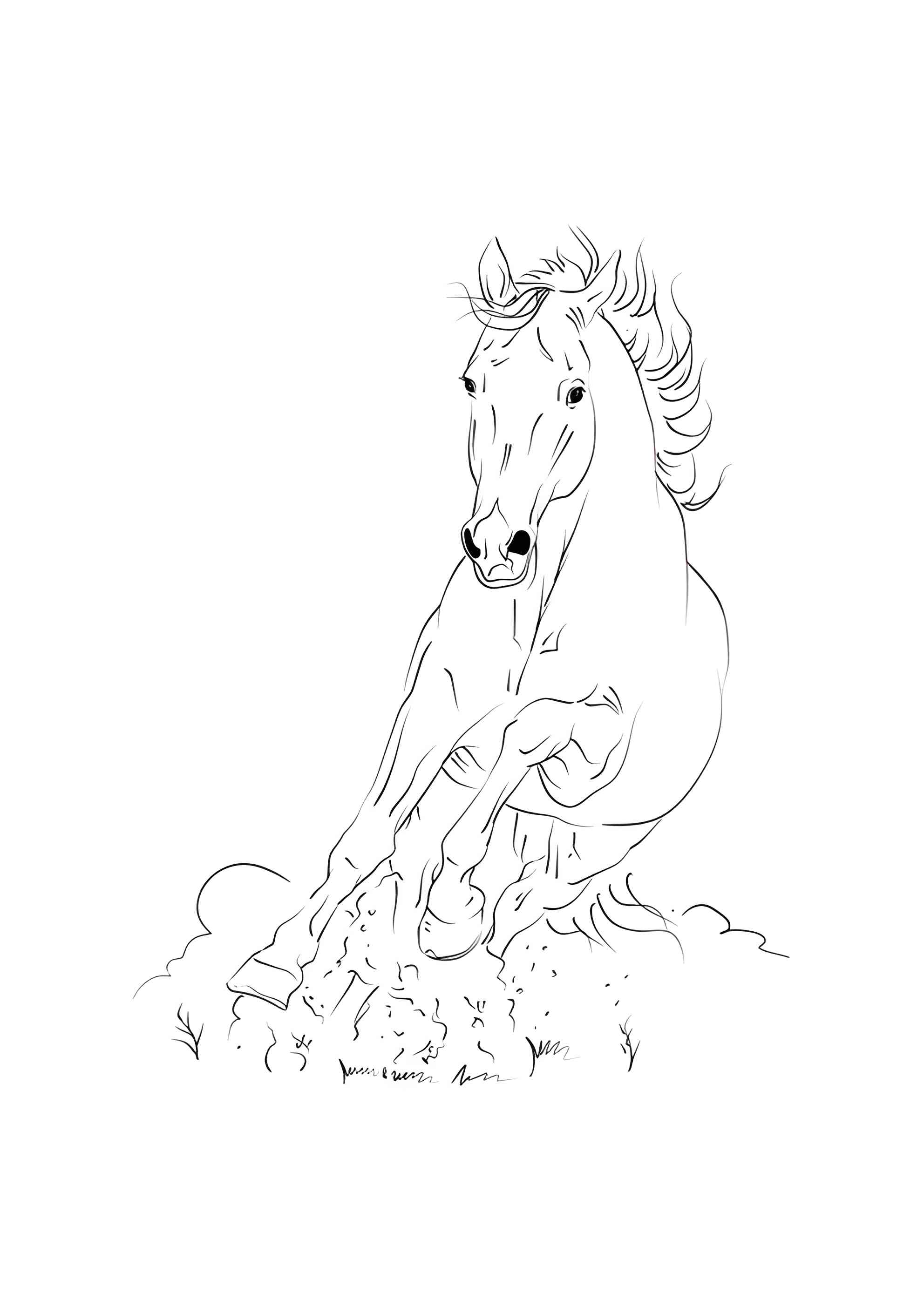 Раскраска Лети как ветер лошадка