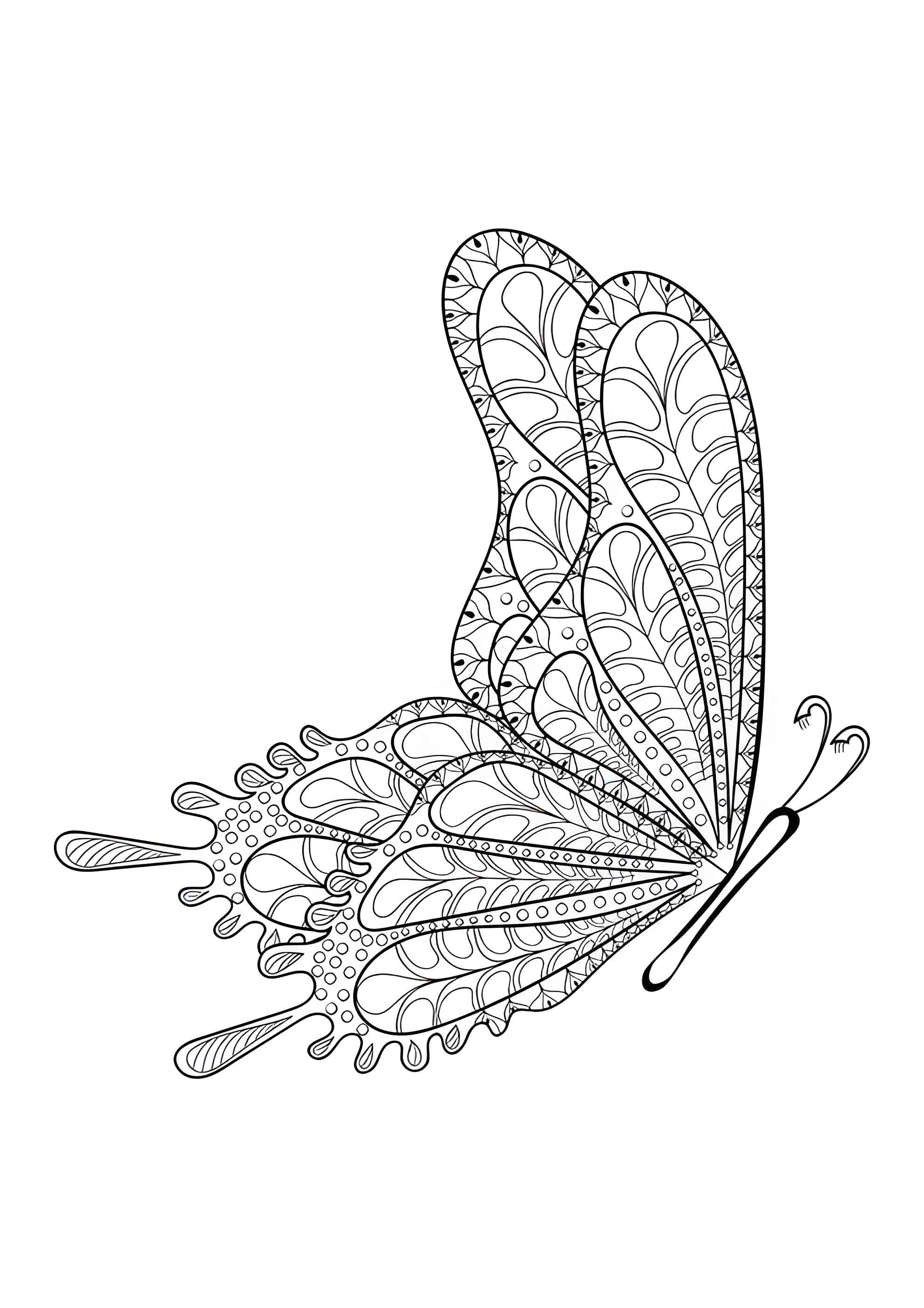 Раскраска Летящая бабочка с замысловатыми узорами