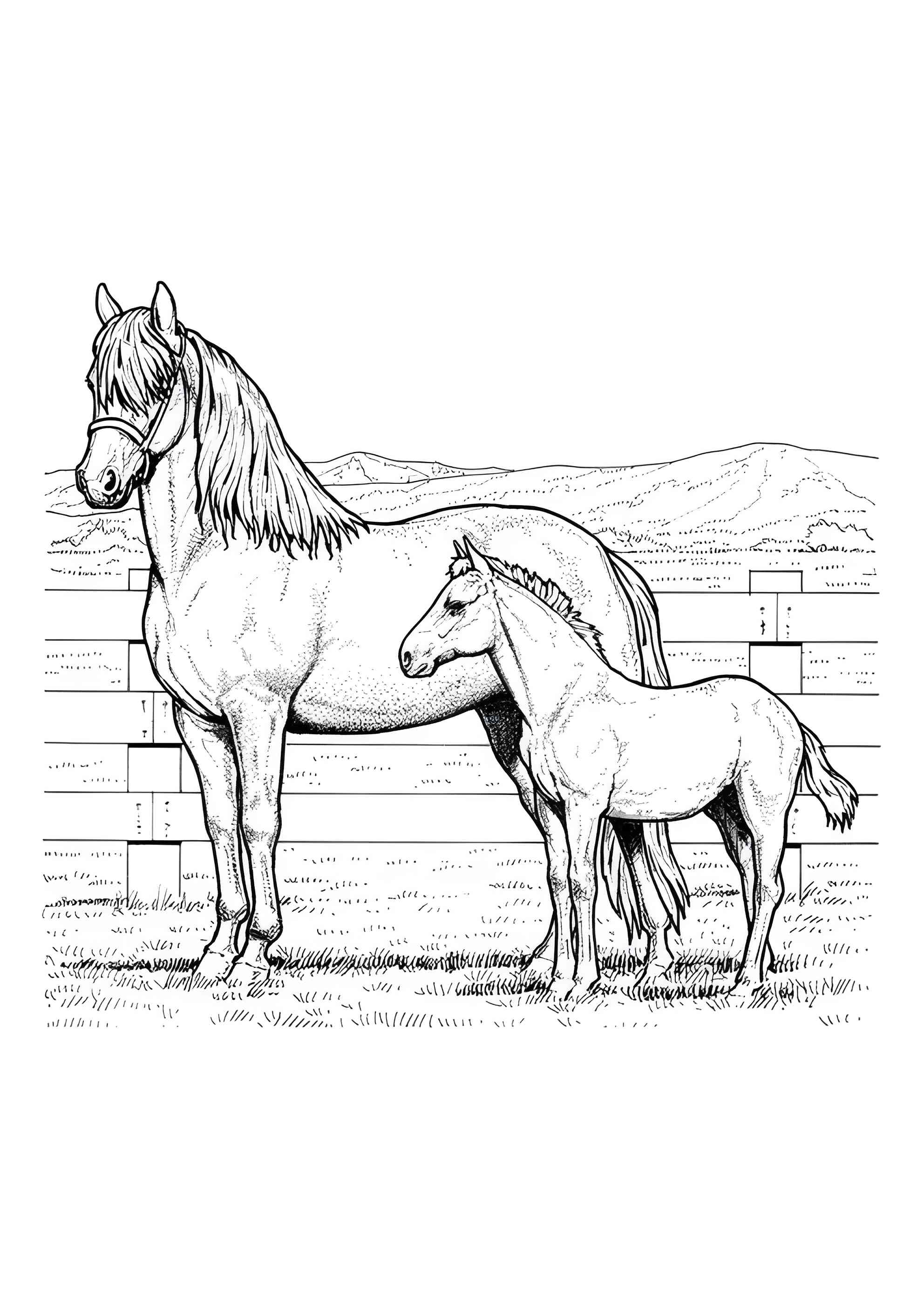 Раскраска Лошадь и жеребёнок