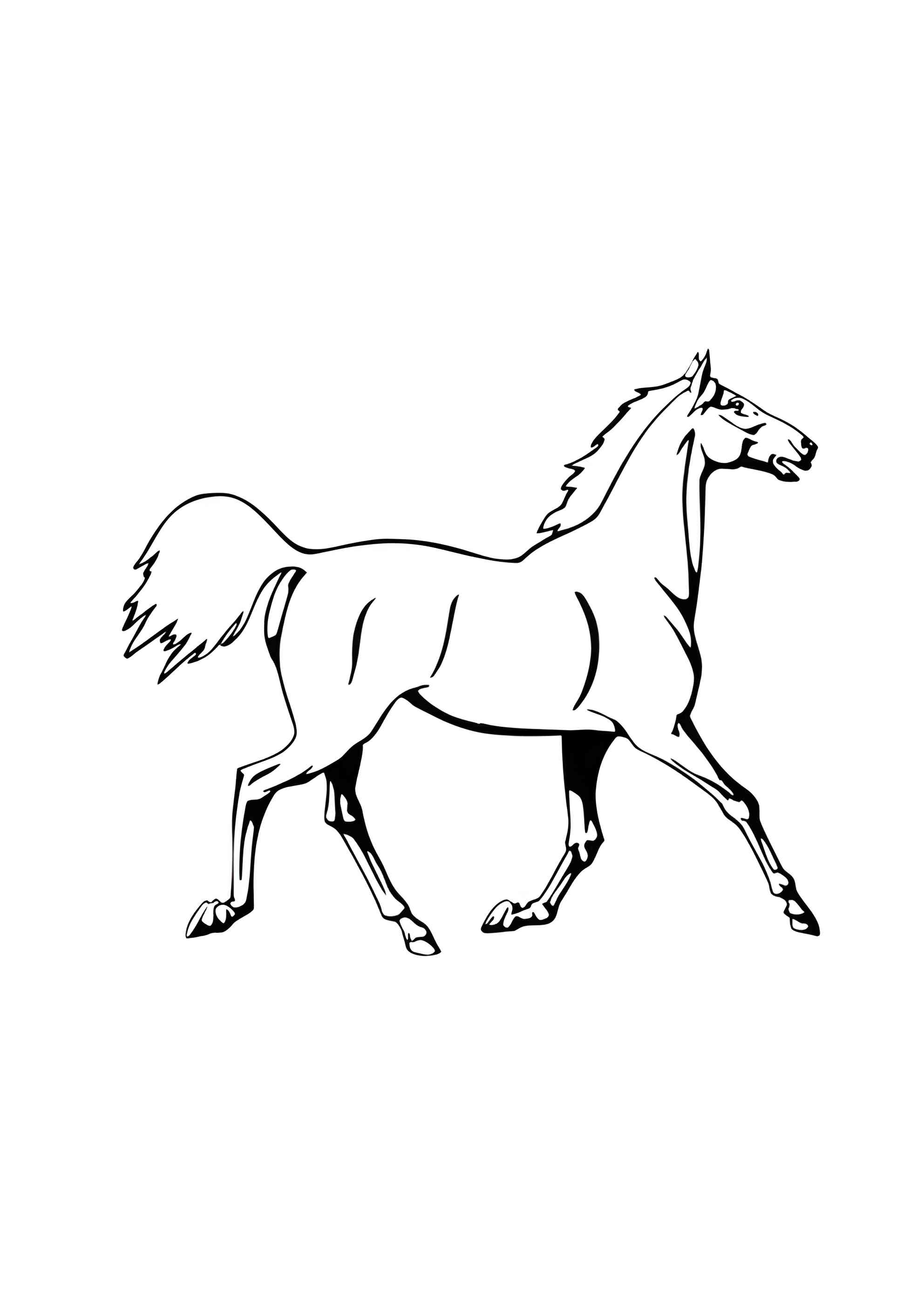 Раскраска Лошадь на показе
