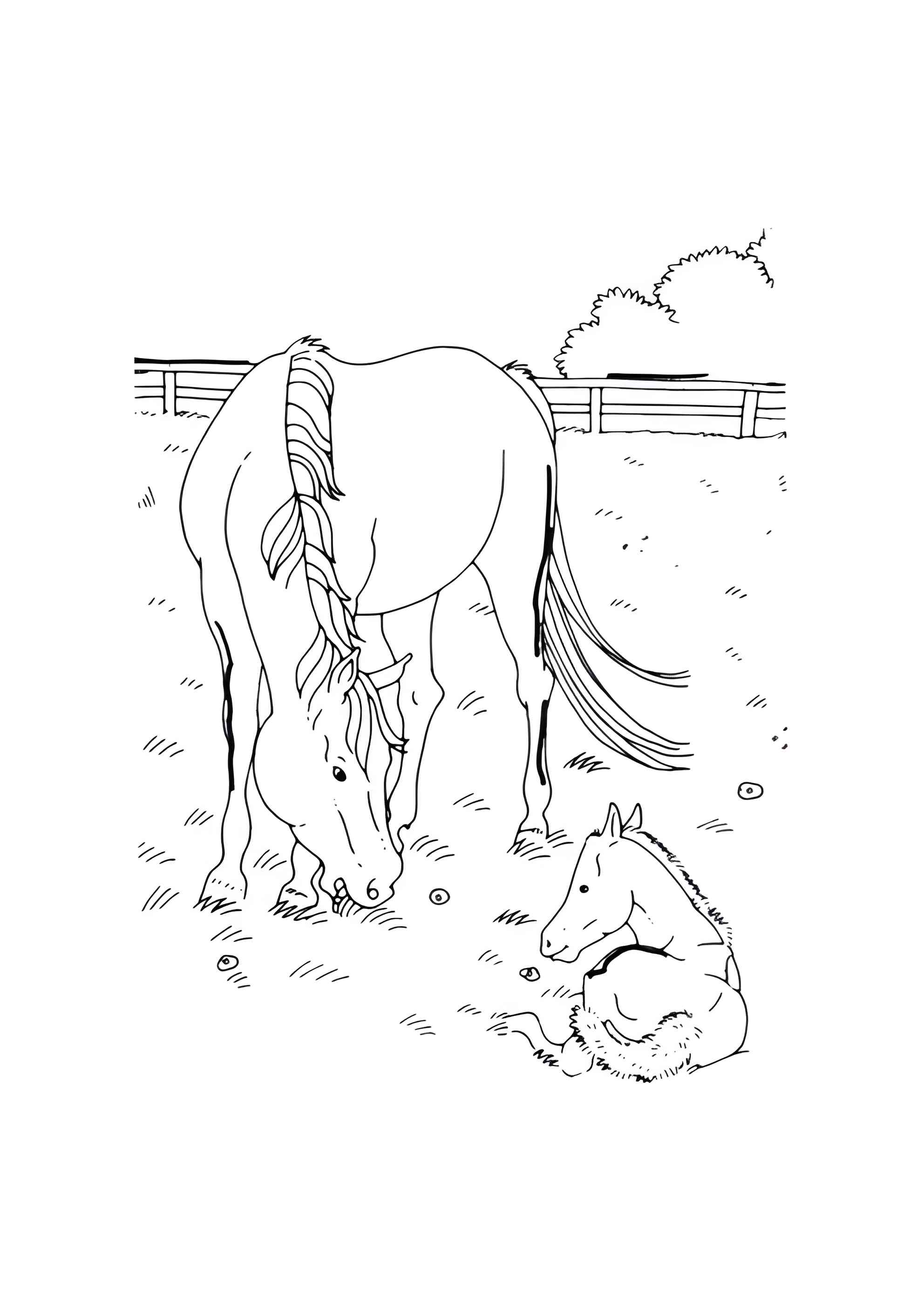Раскраска Лошадь со своим малышом
