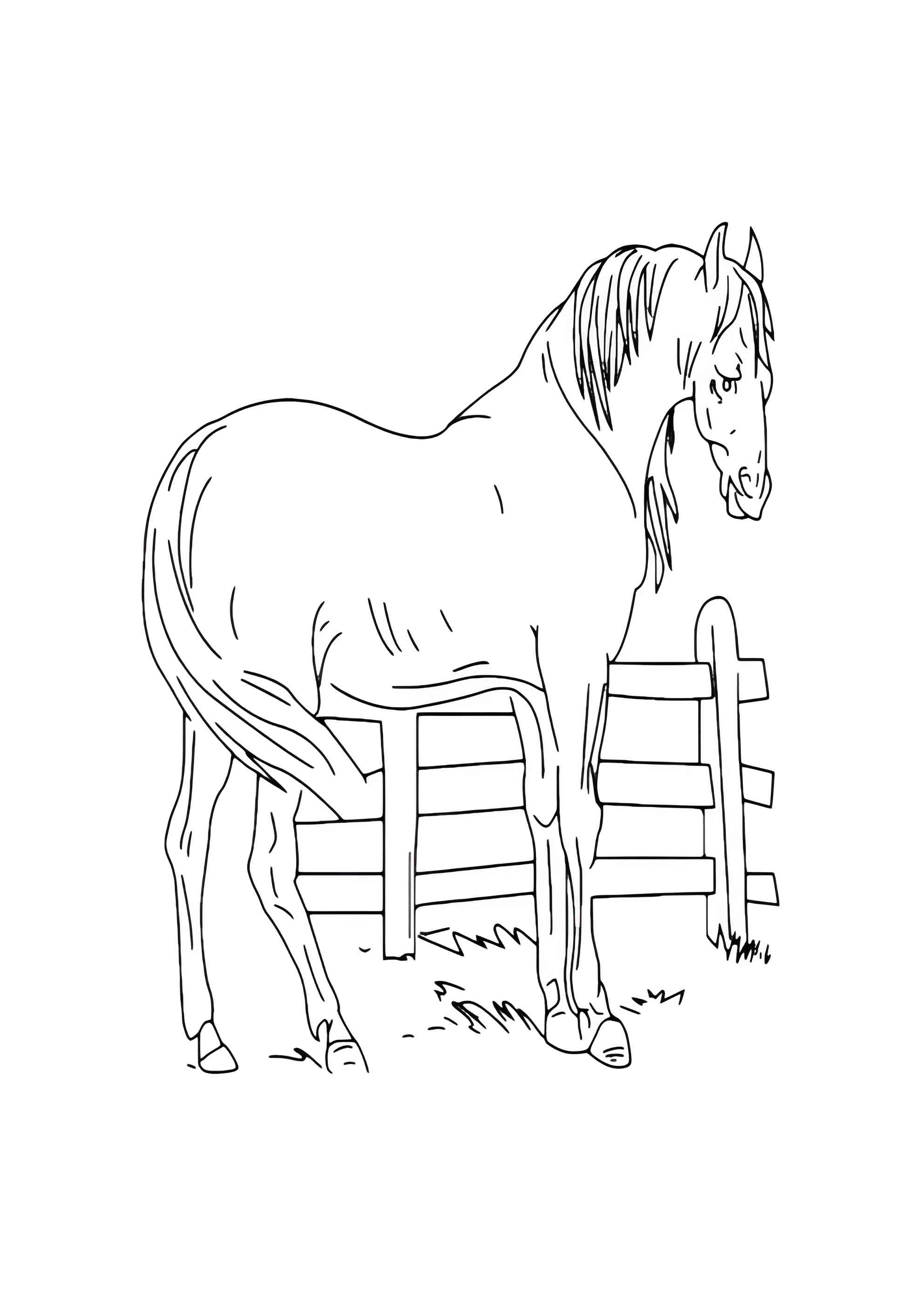 Раскраска Лошадь за забором
