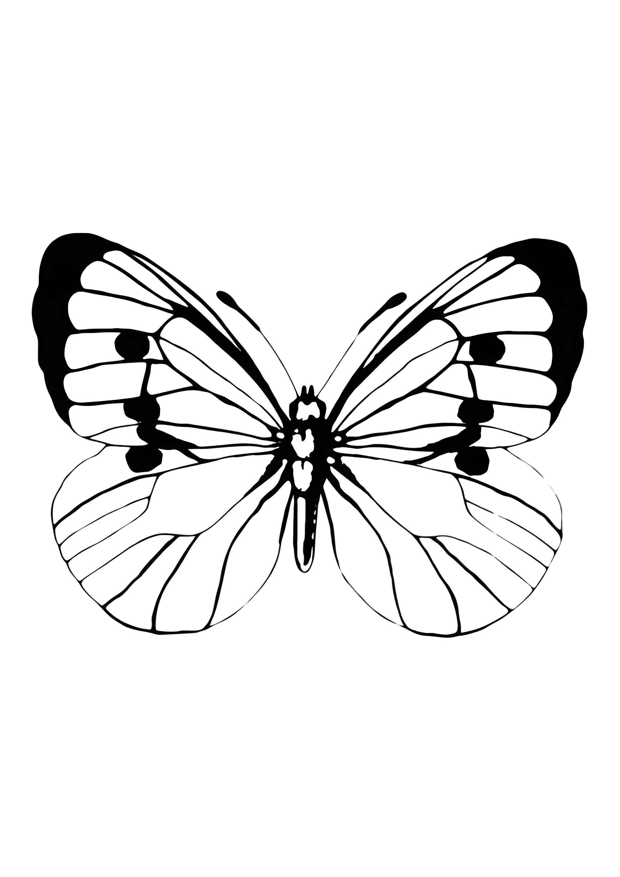 Раскраска Лёгкая бабочка