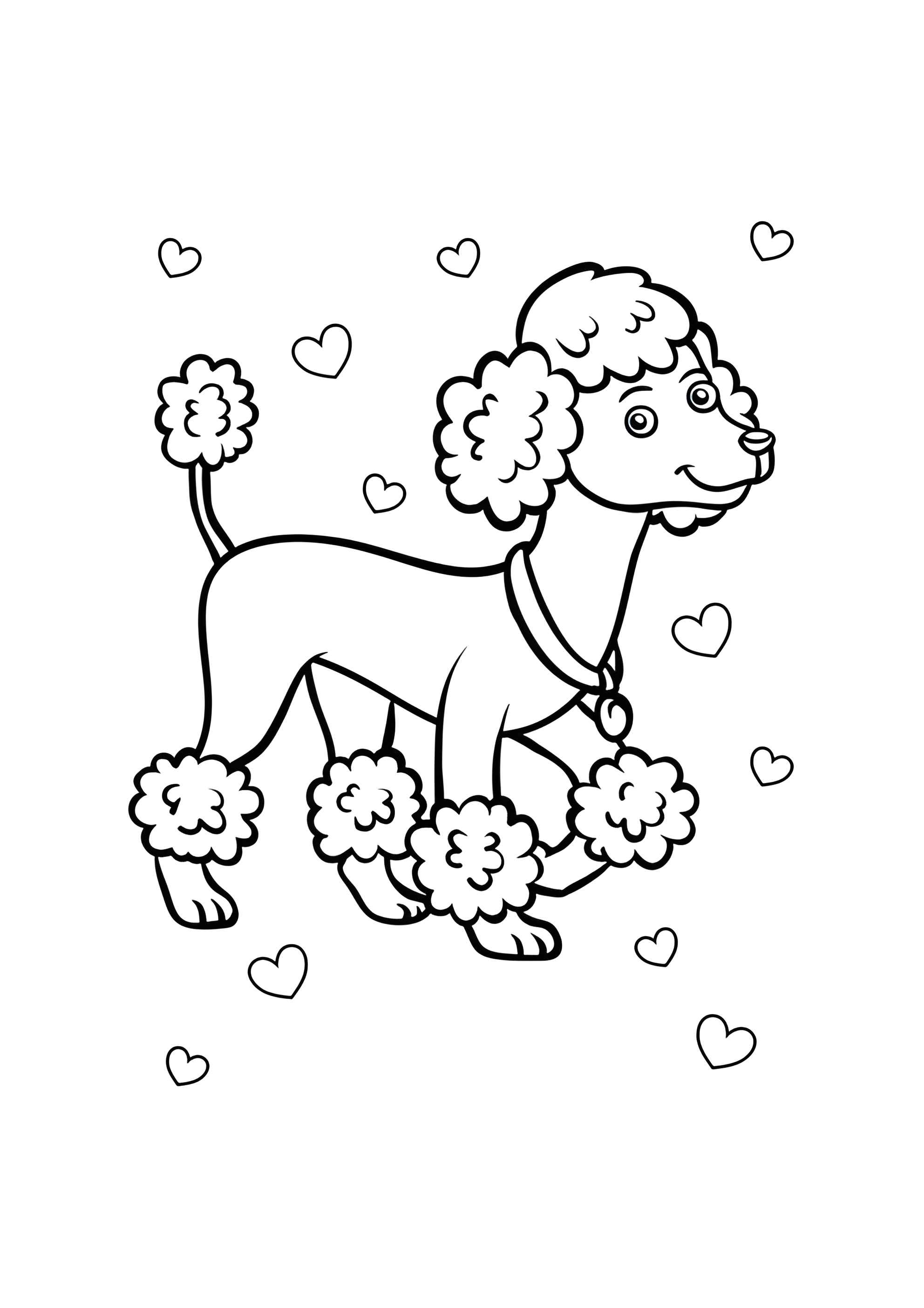 Раскраска Милый пудель