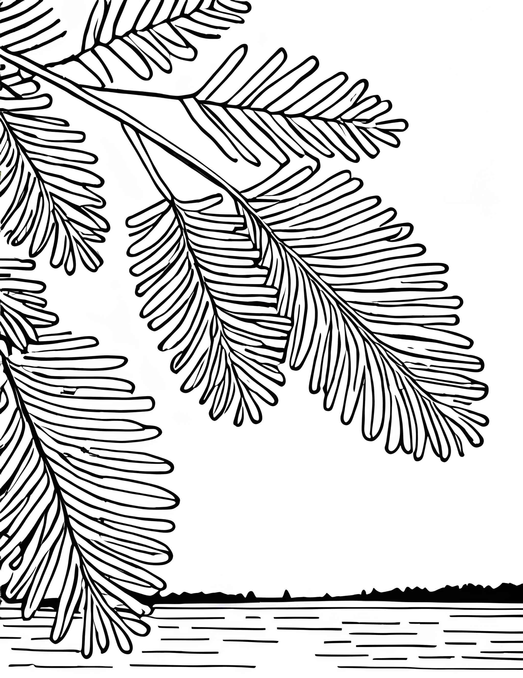 Раскраска Мимоза 21