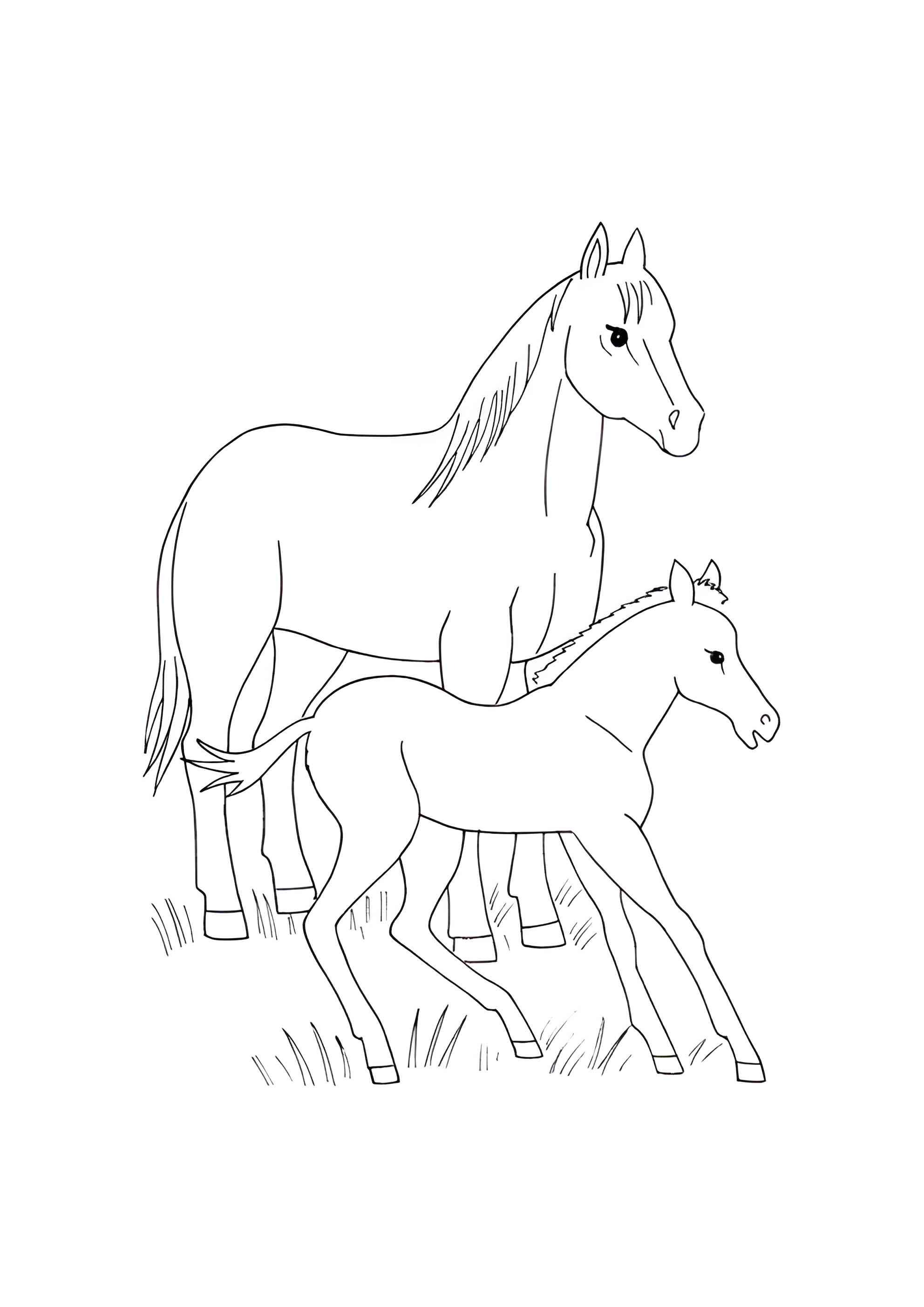 Раскраска Молодые лошади