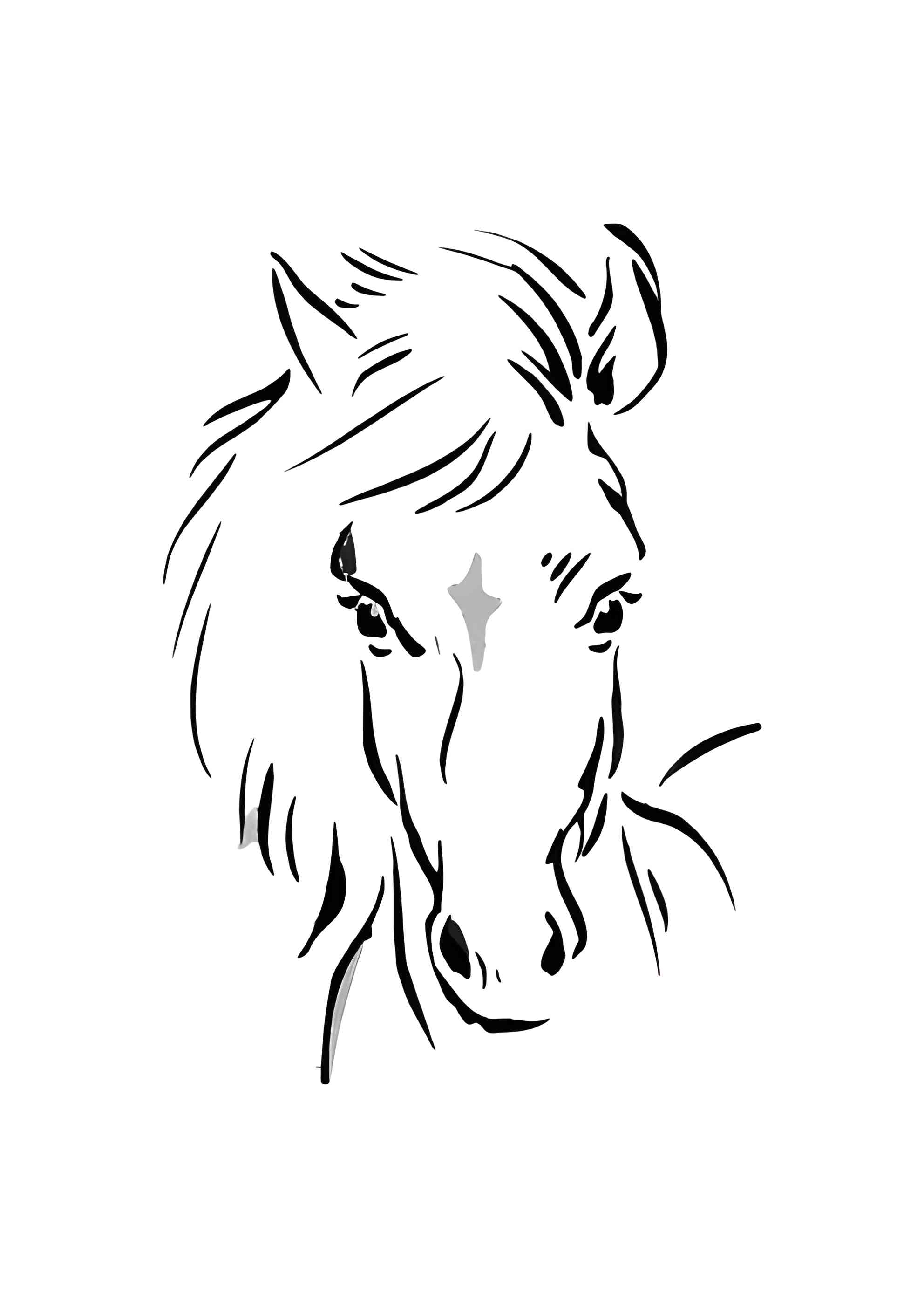 Раскраска Морда породистой лошади