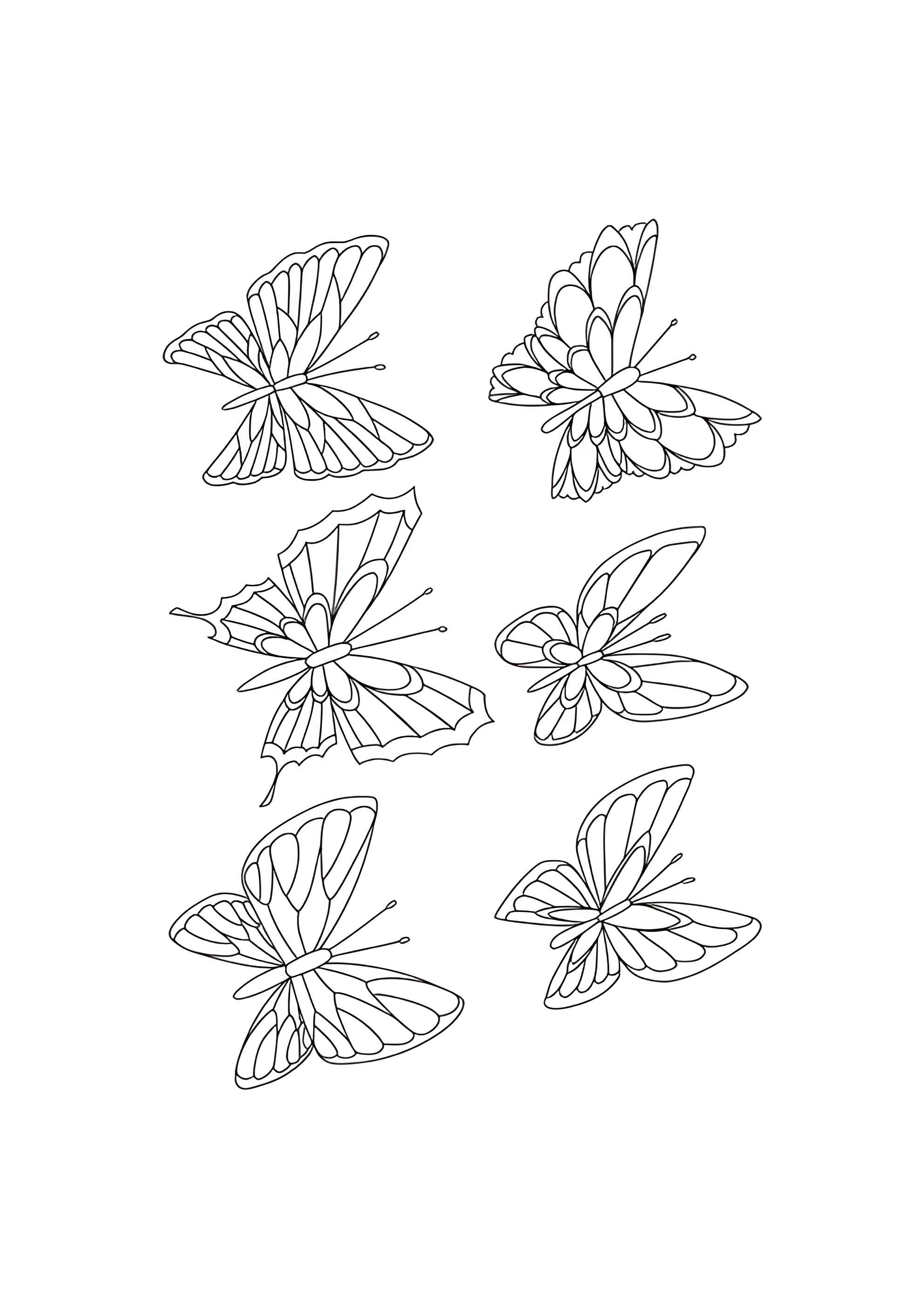 Раскраска Набор из 6 бабочек