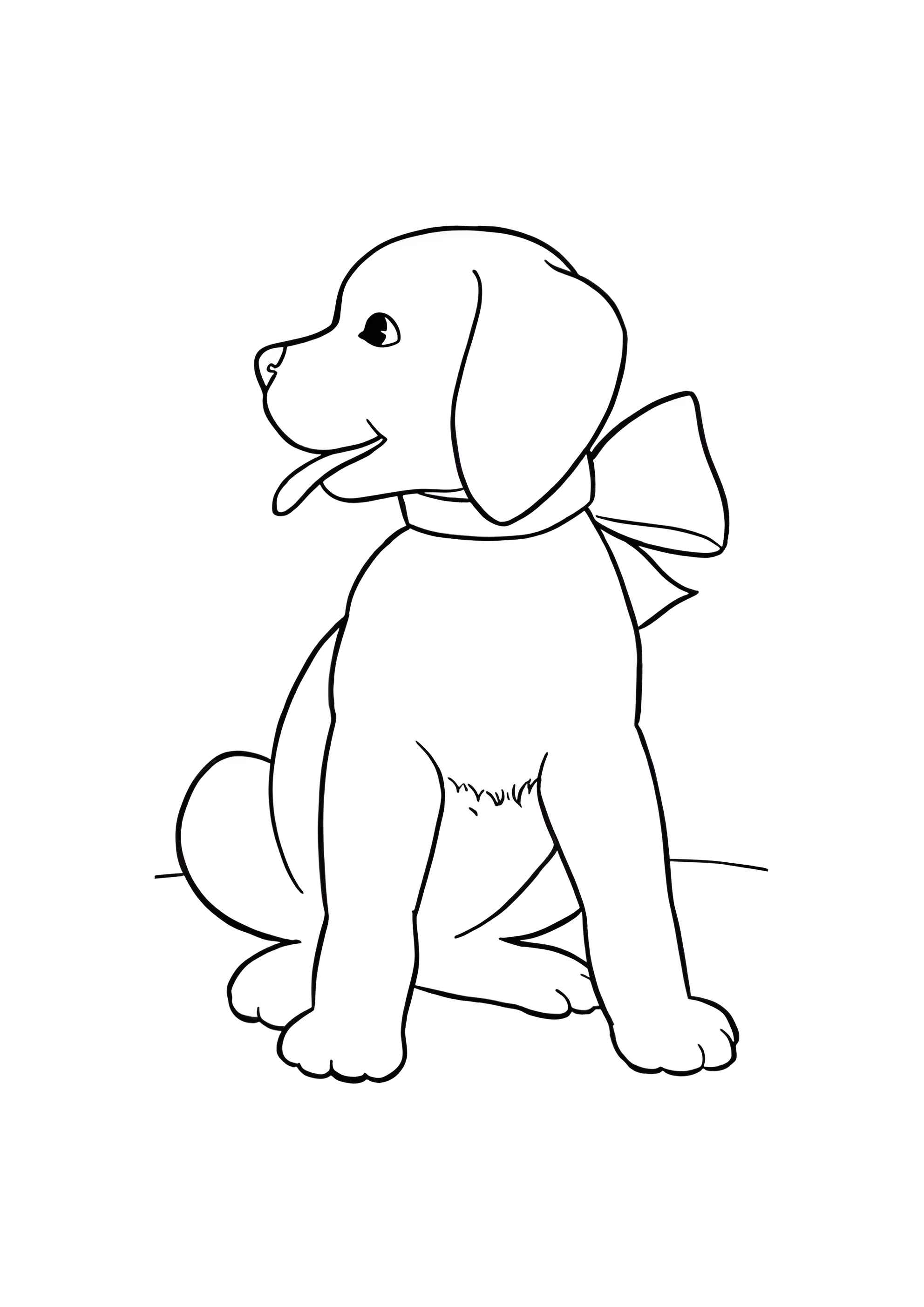 Раскраска Нарядная собака