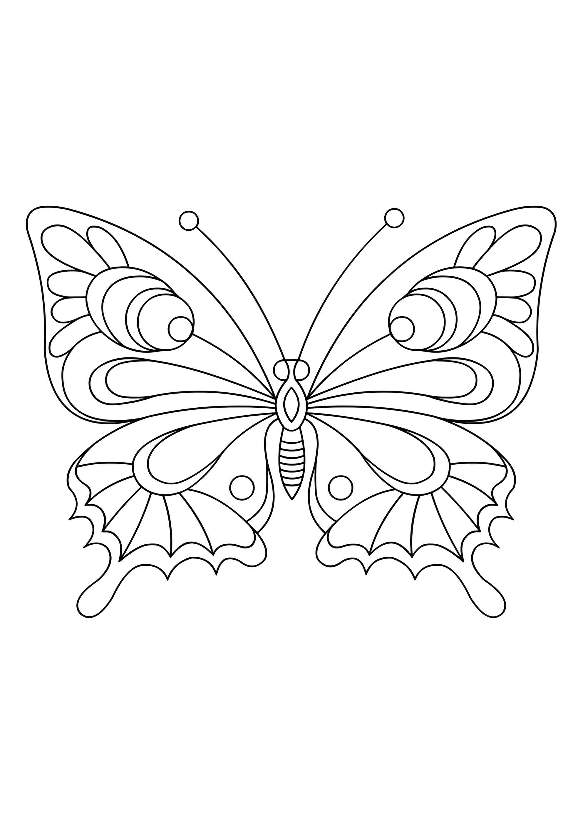 Раскраска Незабываемая бабочка