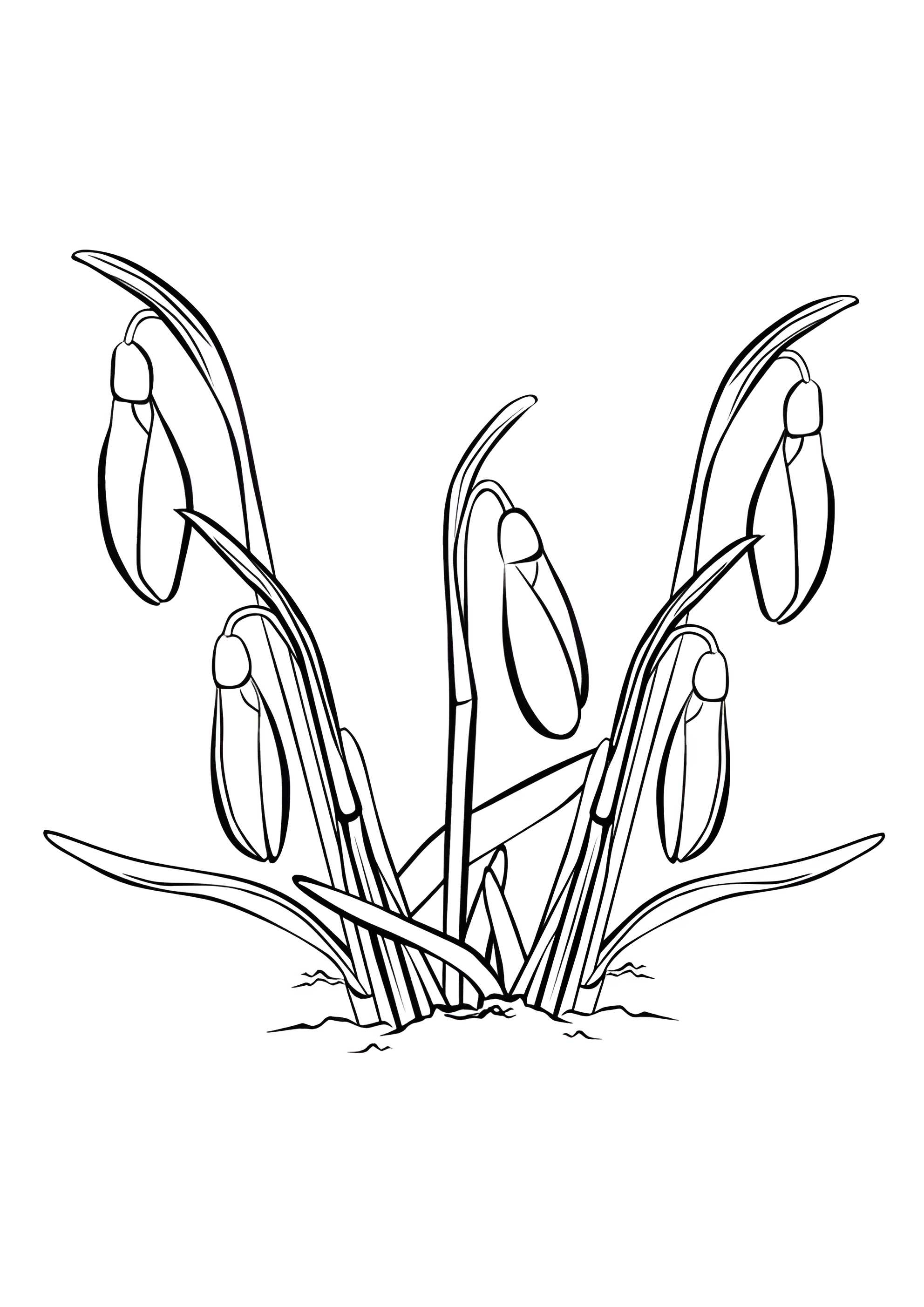 Раскраска Первые ландыши