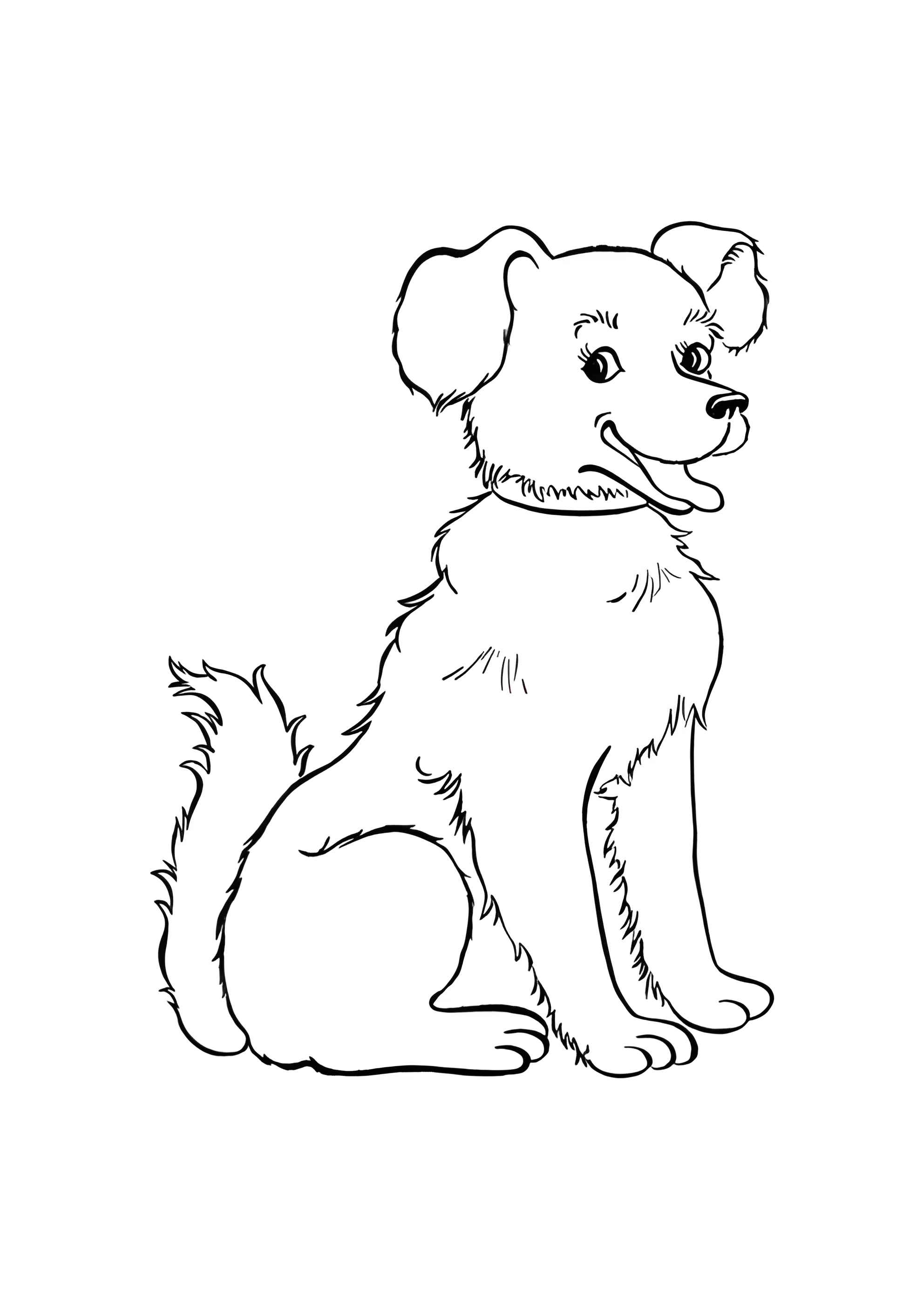 Раскраска Породистый пёс