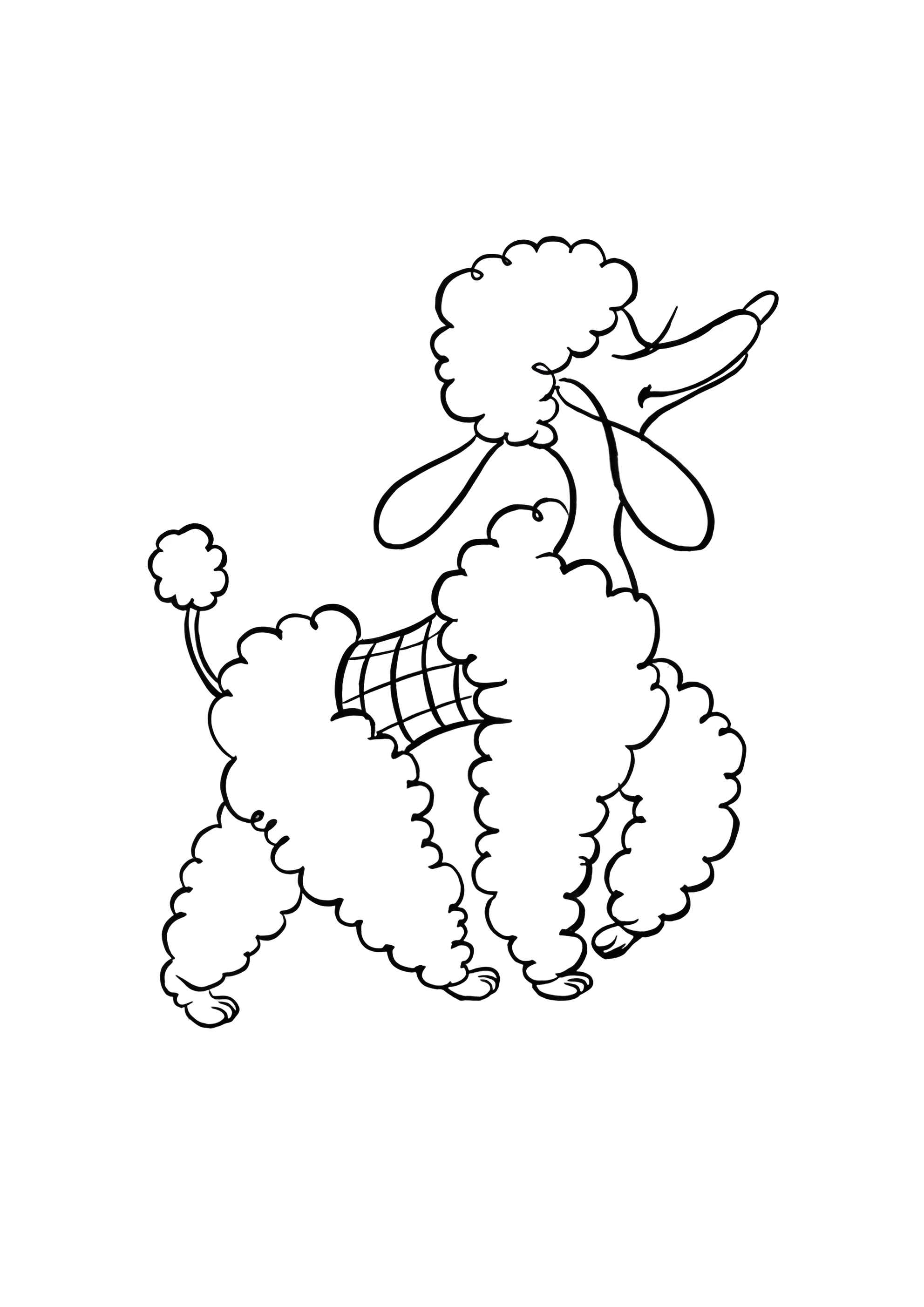 Раскраска Пудель