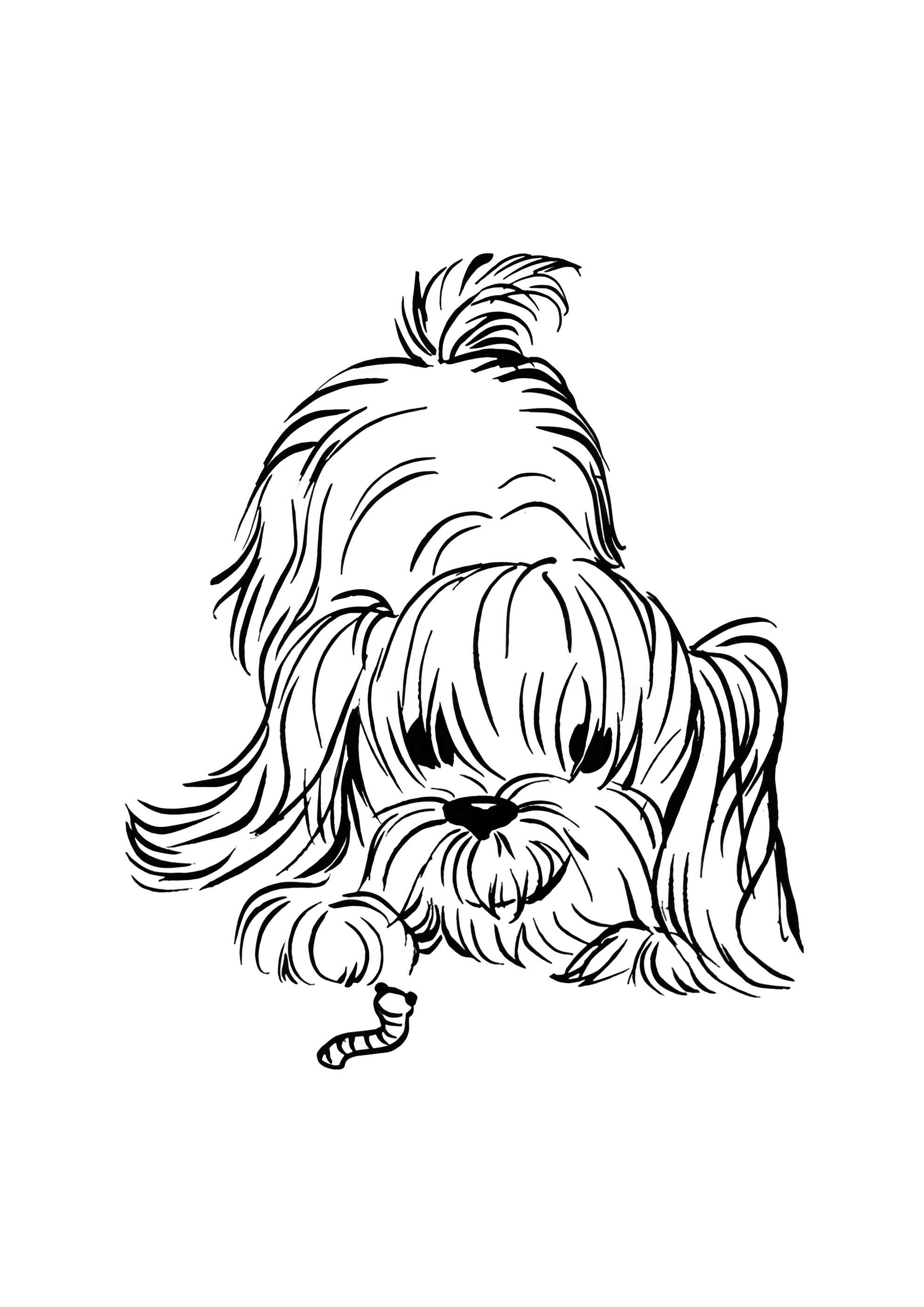 Раскраска Пушистая собачка и червячок