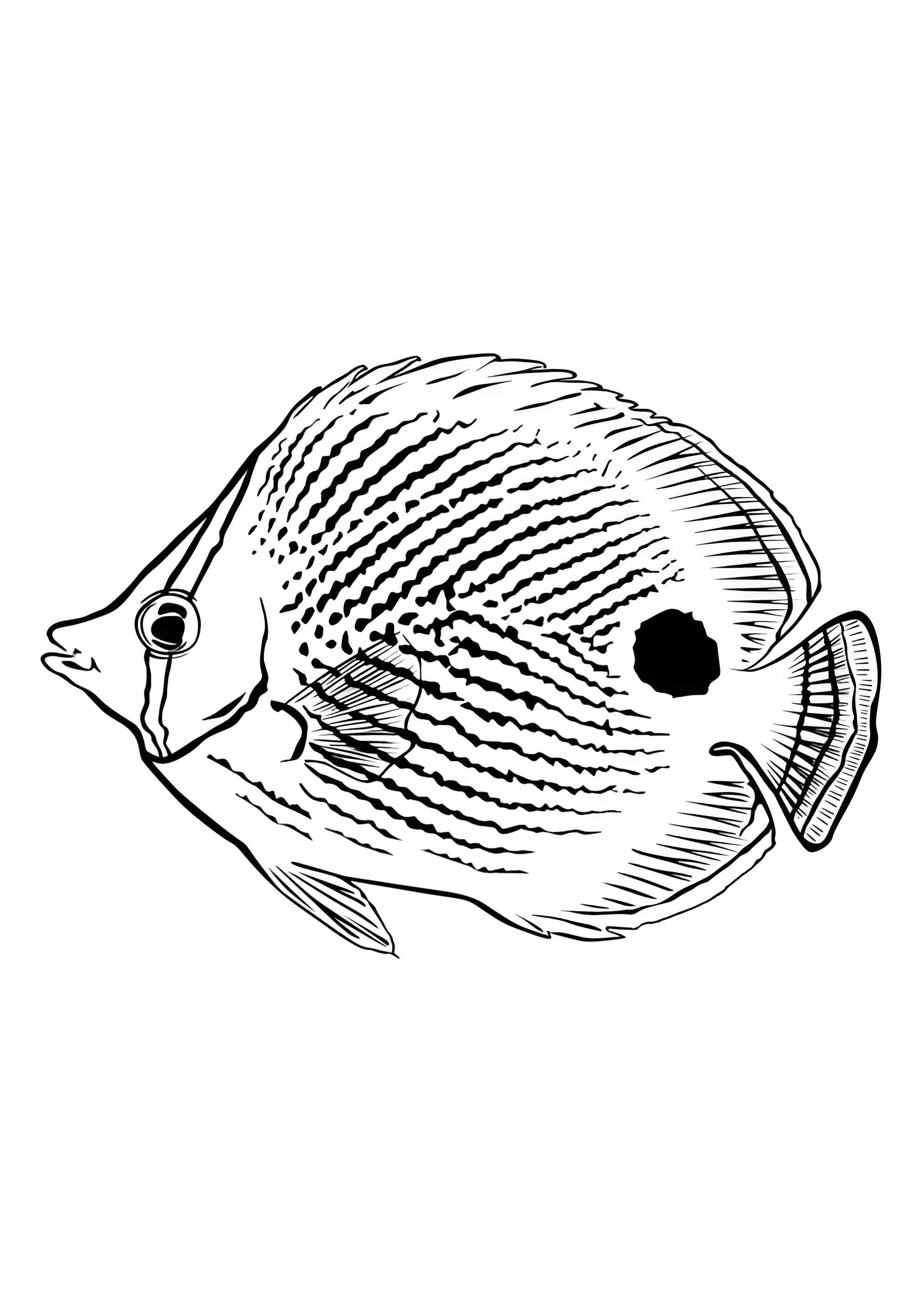 Раскраска Рыба-бабочка