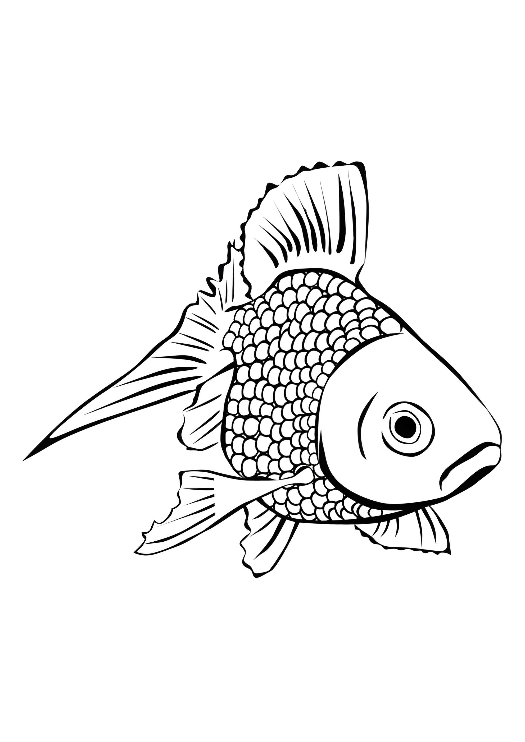 Раскраска Рыбка
