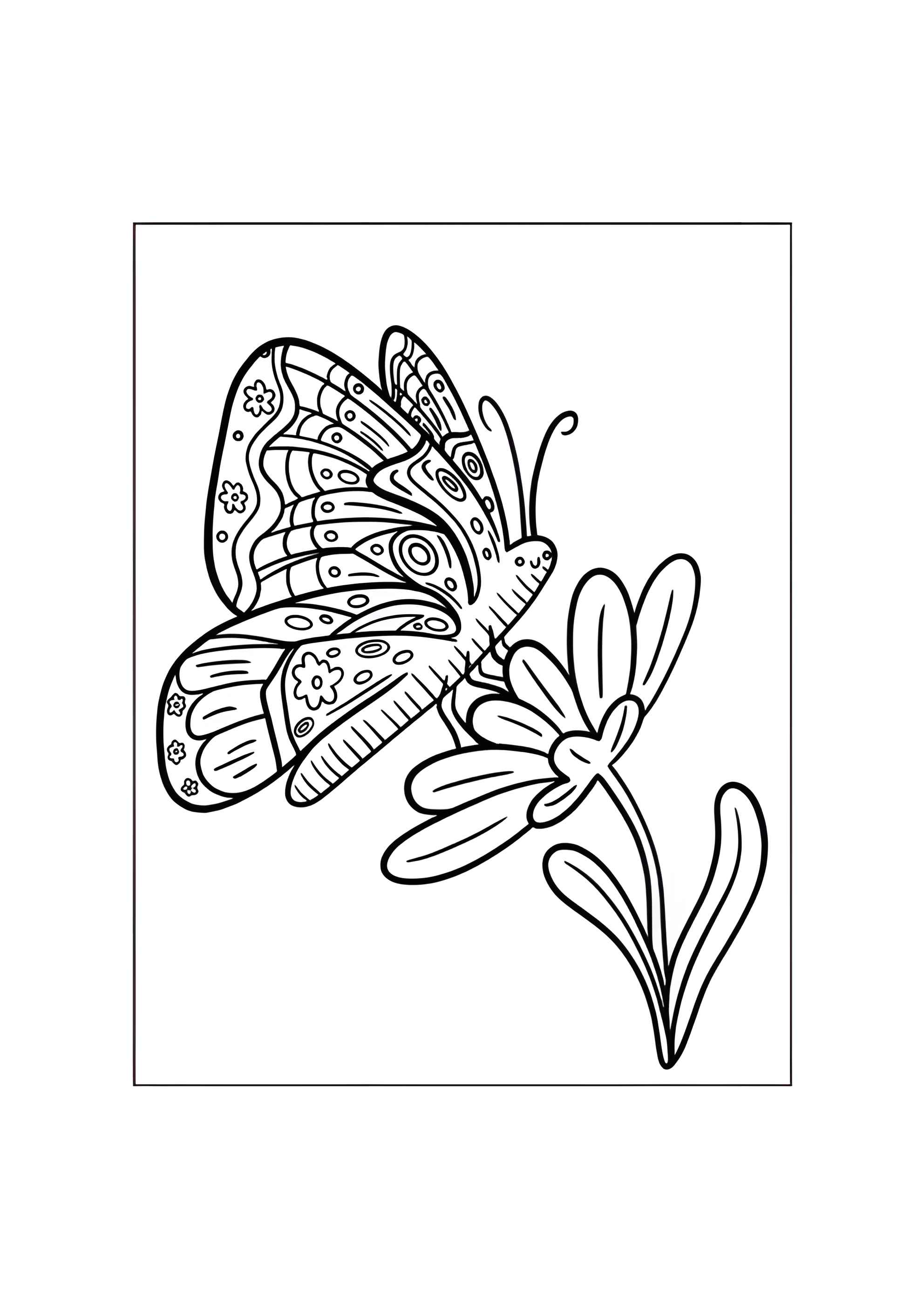 Раскраска Счастливая бабочка на цветочке