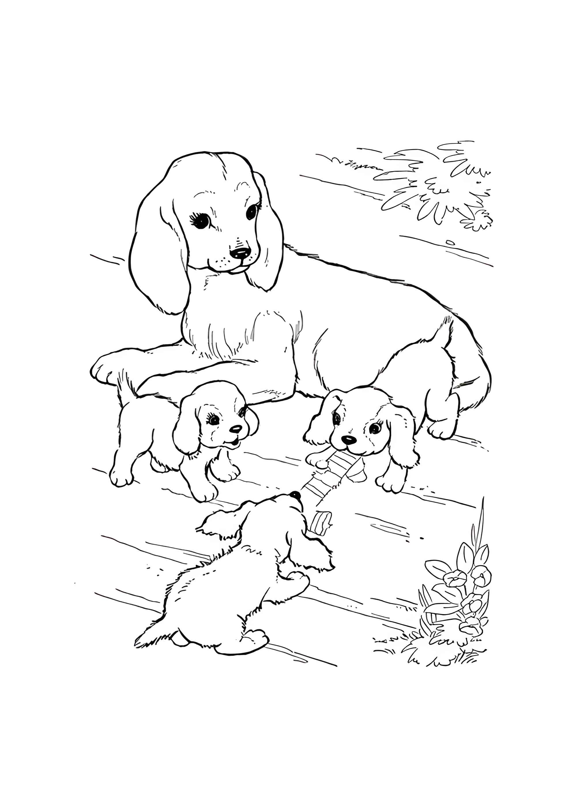 Раскраска Щенки с мамой