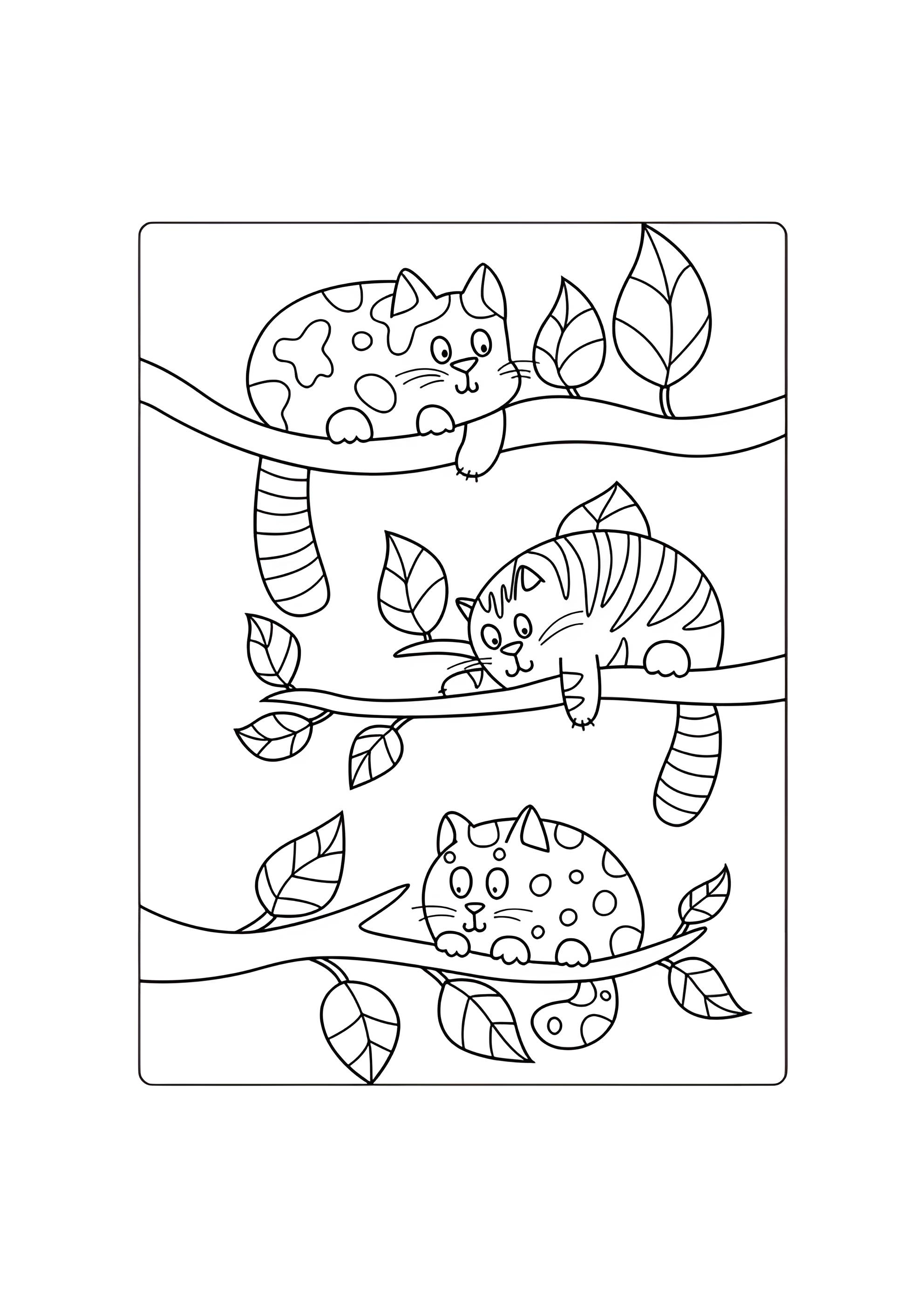 Раскраска Смешные коты