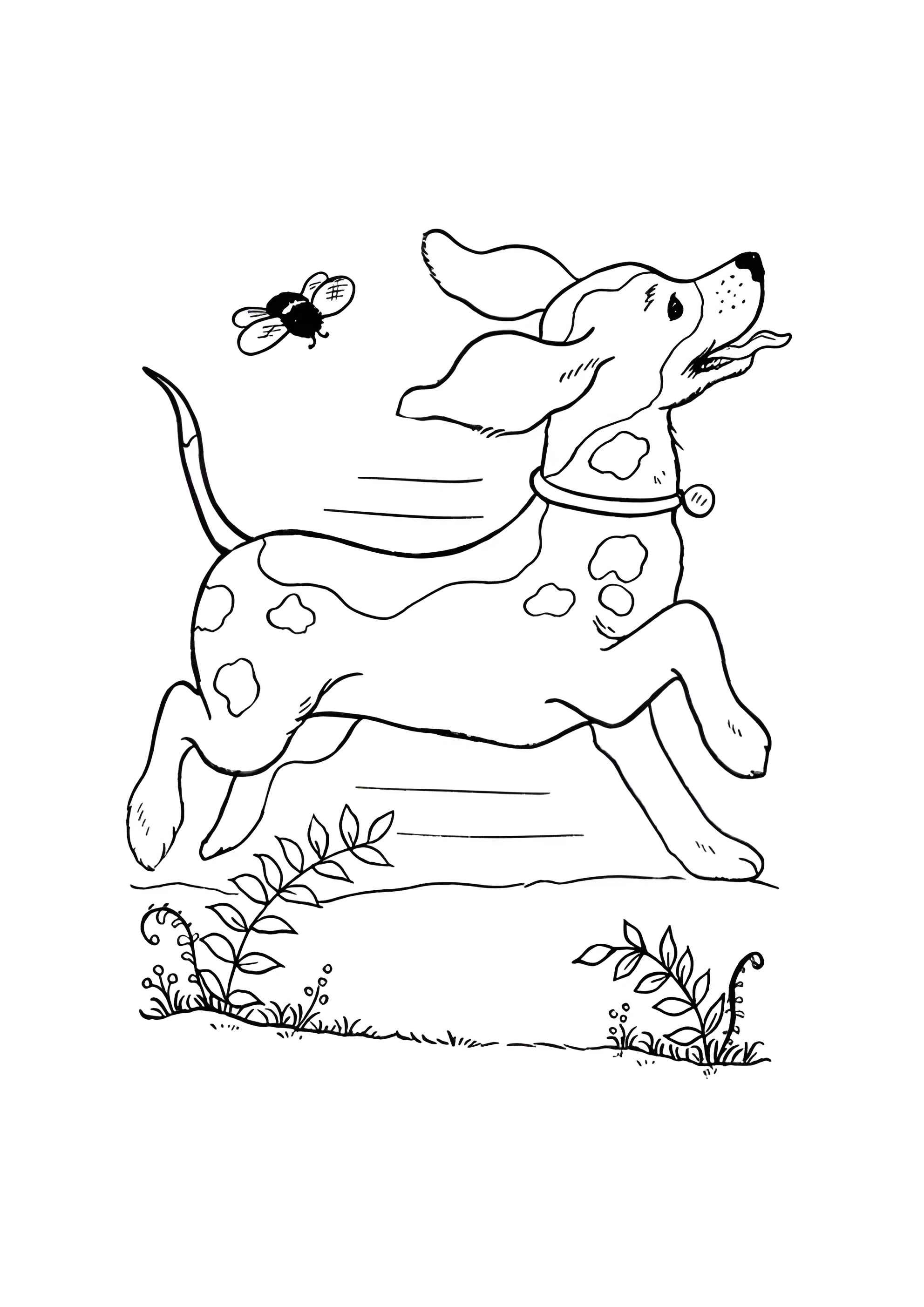 Раскраска Собака бегает по полю