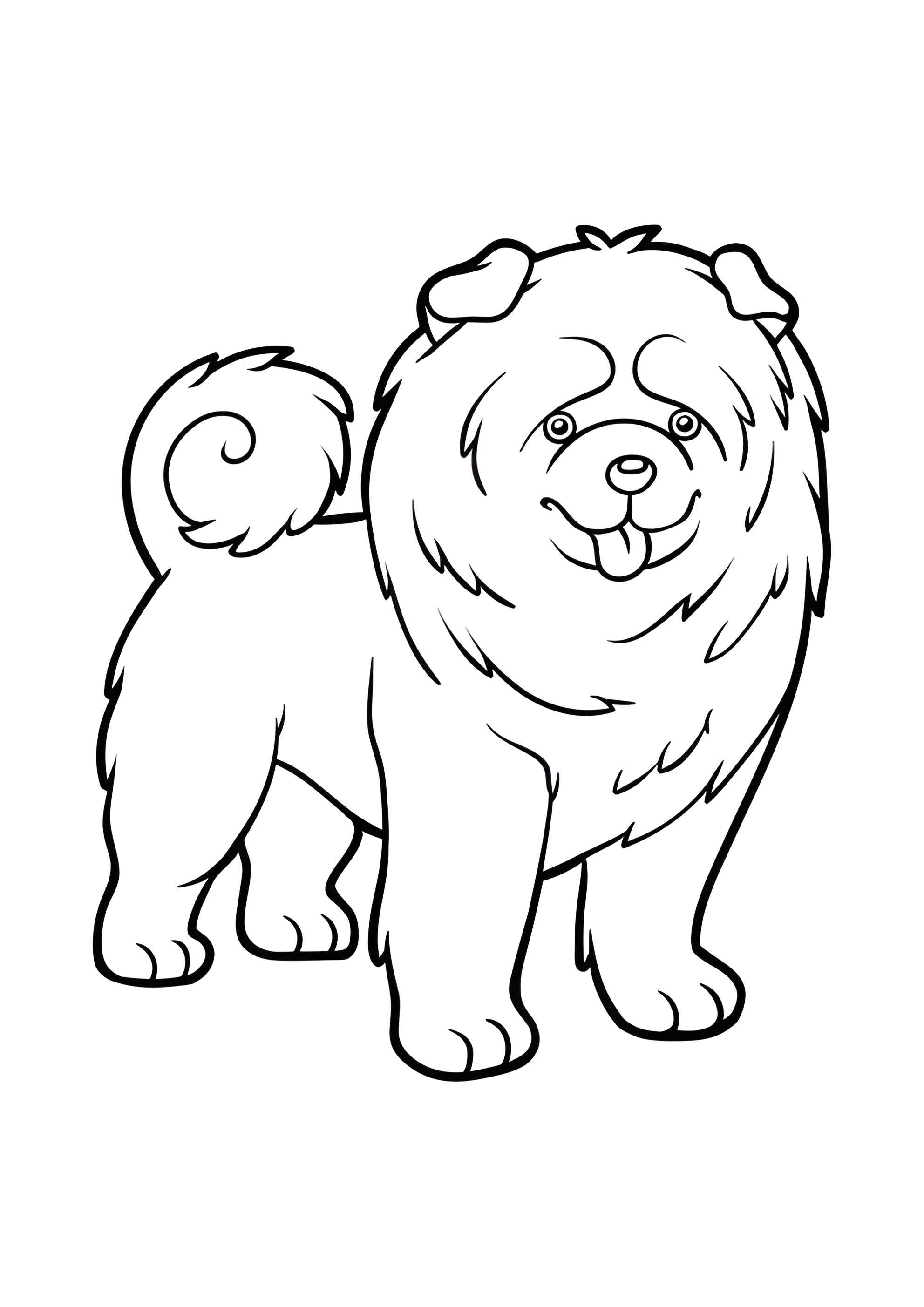 Раскраска Собака чао чао