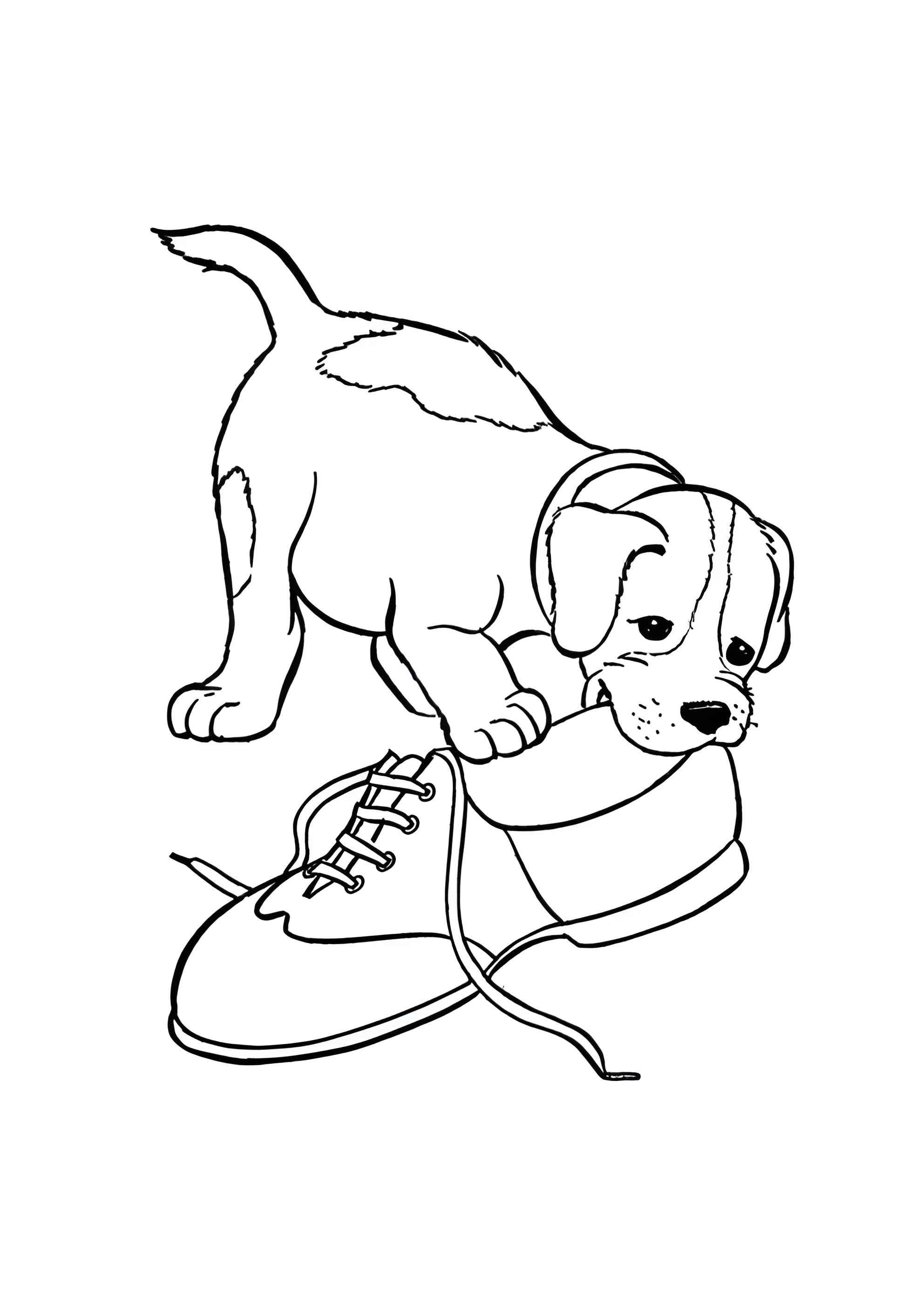 Раскраска Собака грызёт ботинок