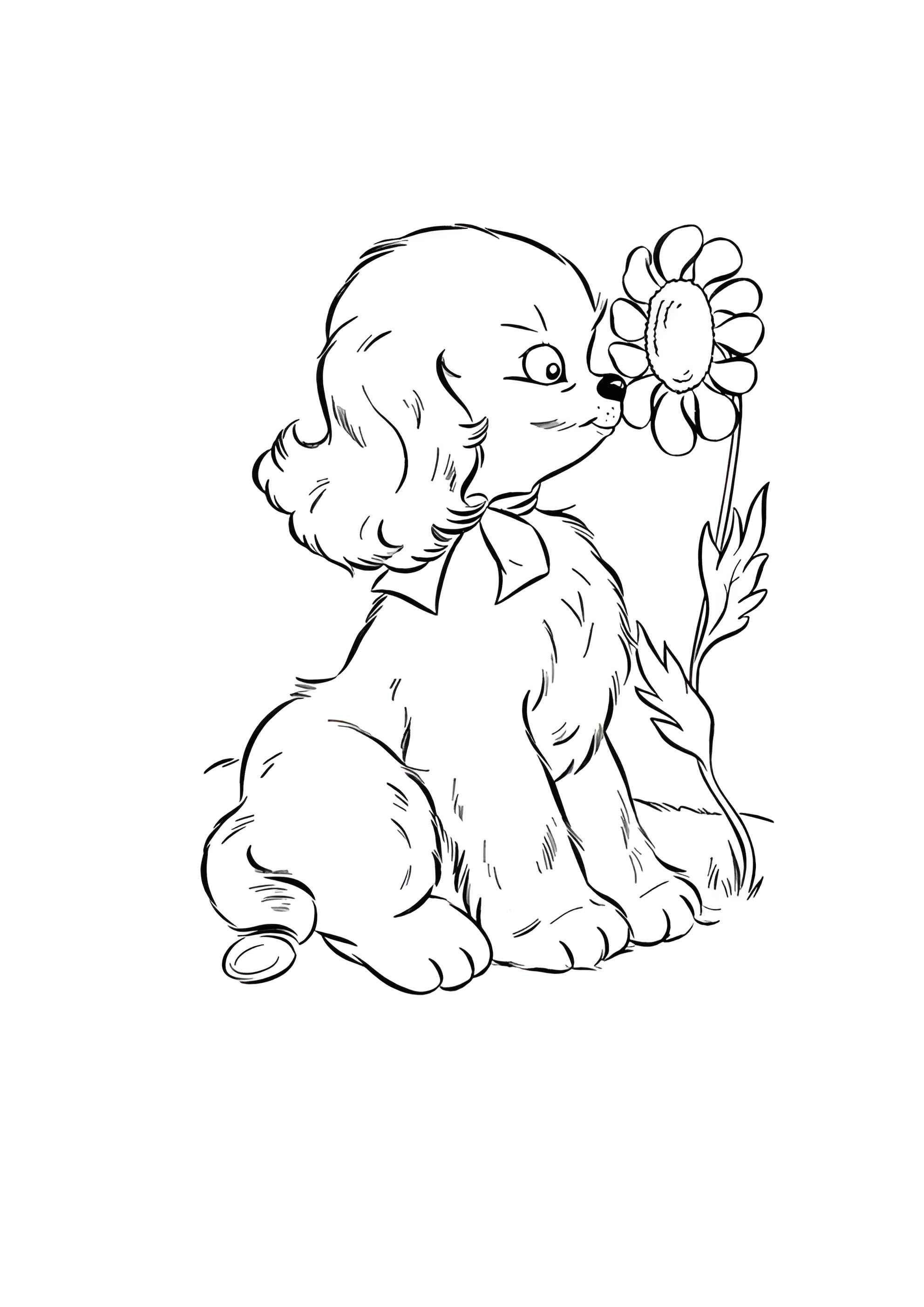 Раскраска Собака и ромашка