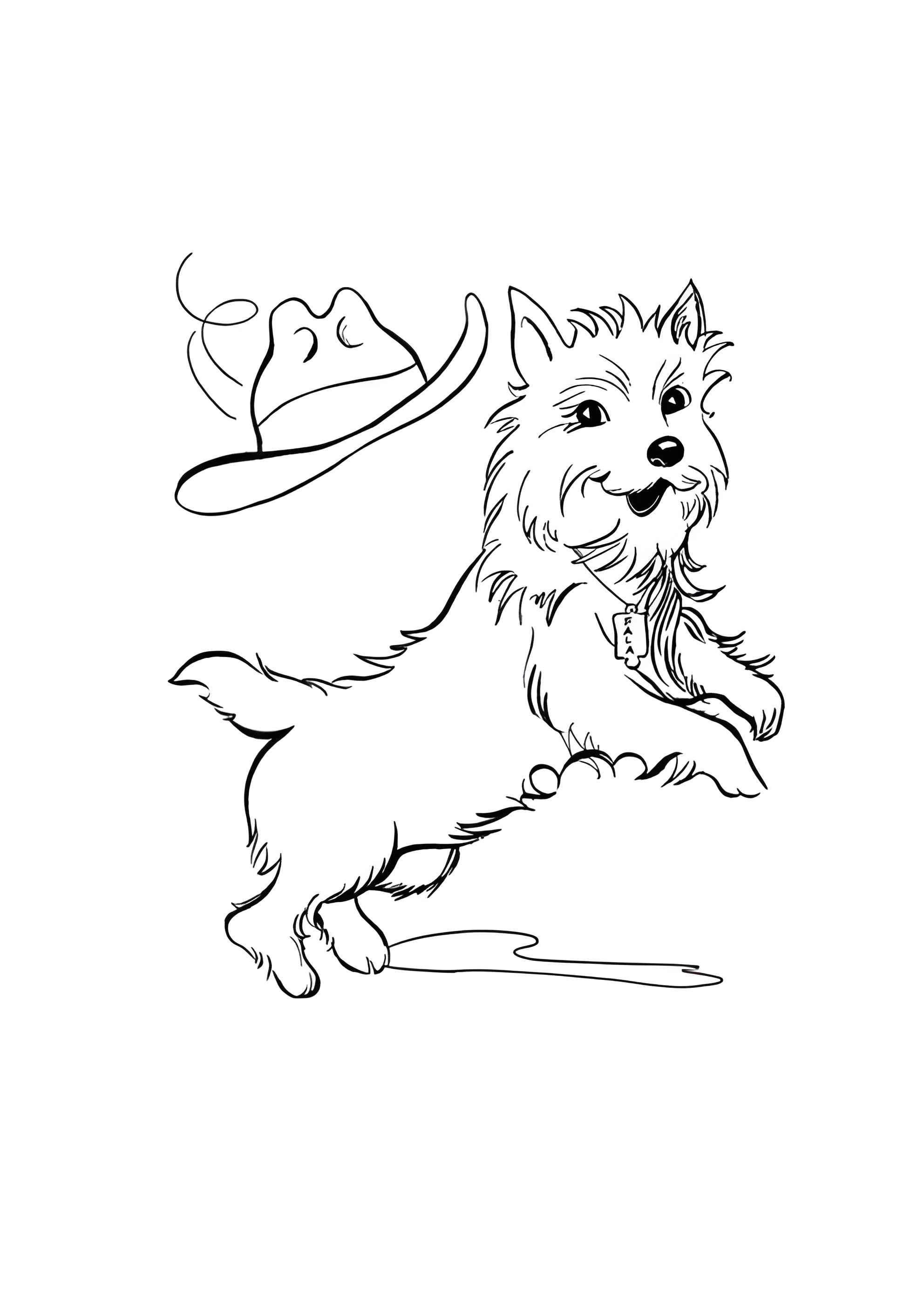 Раскраска Собака и шляпа