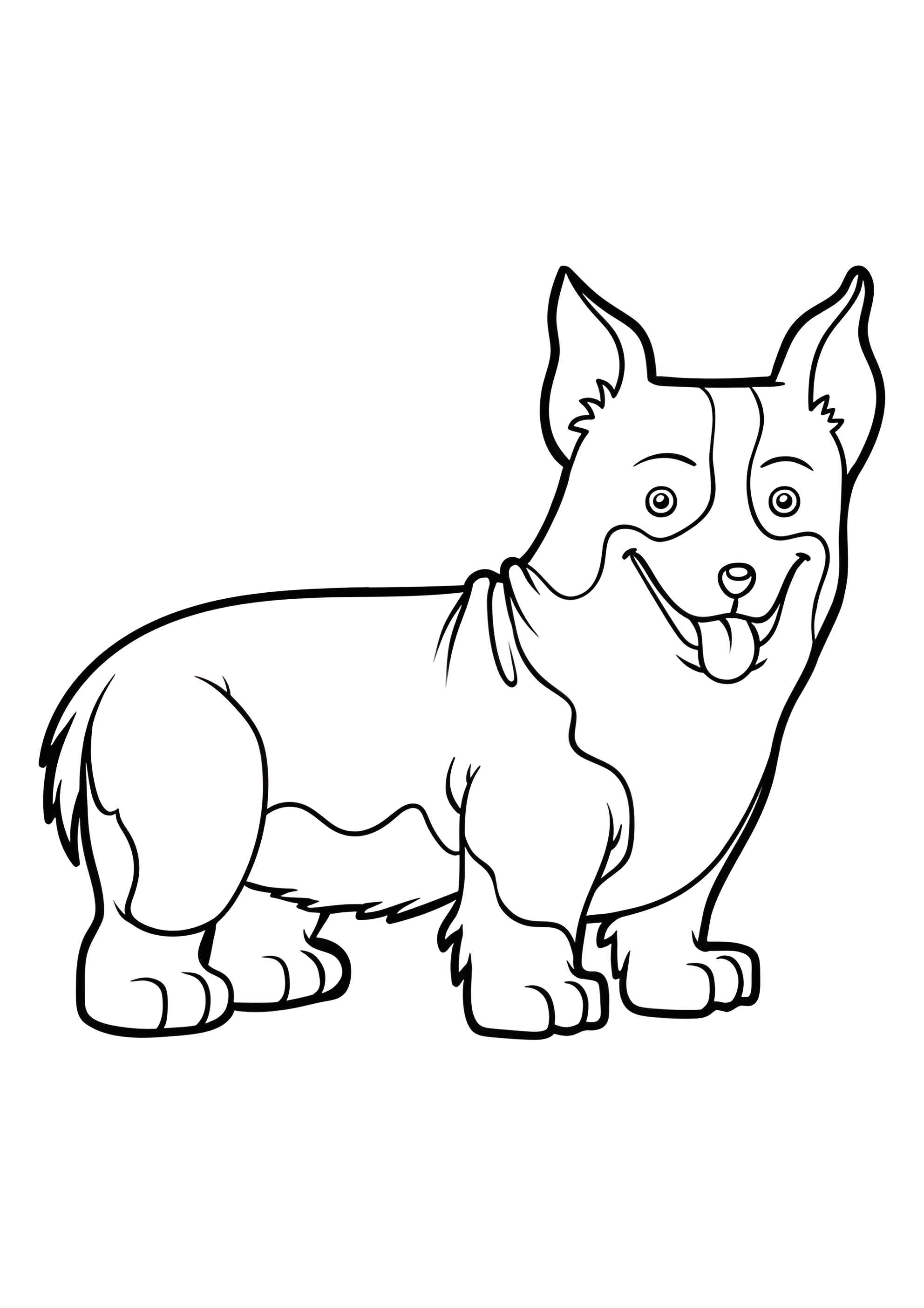 Раскраска Собака корги