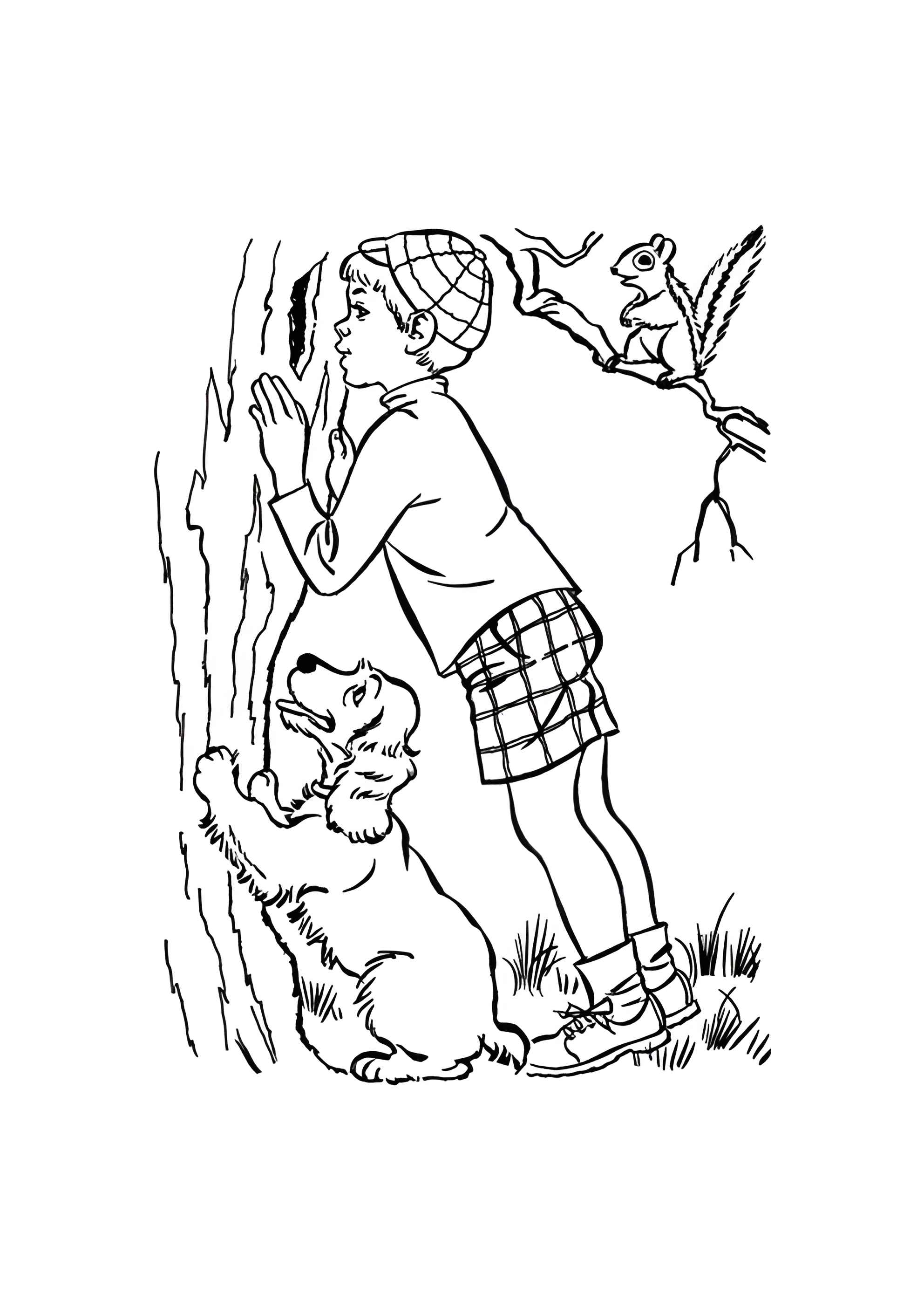 Раскраска Собака, мальчик и белочка