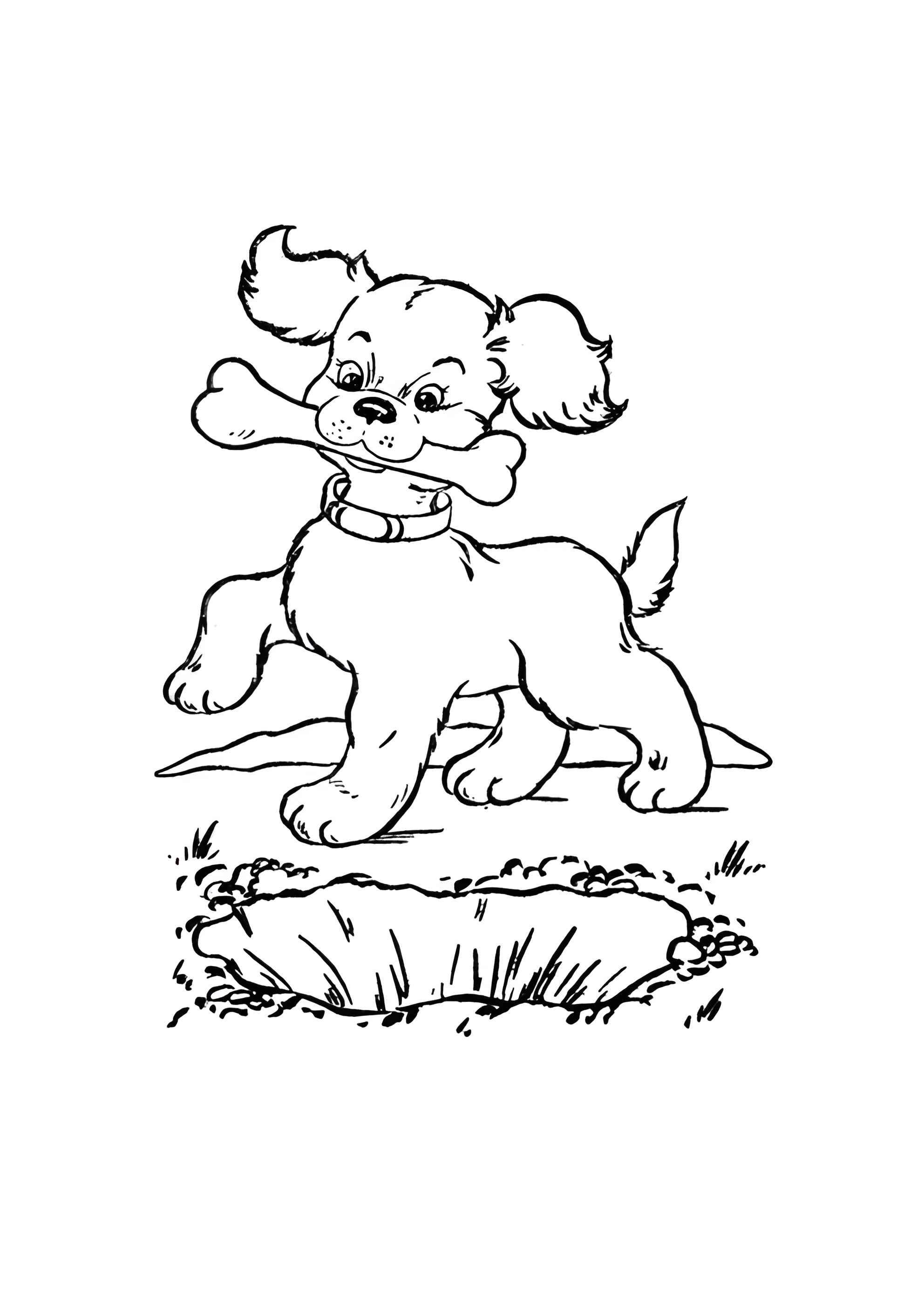 Раскраска Собака с косточкой