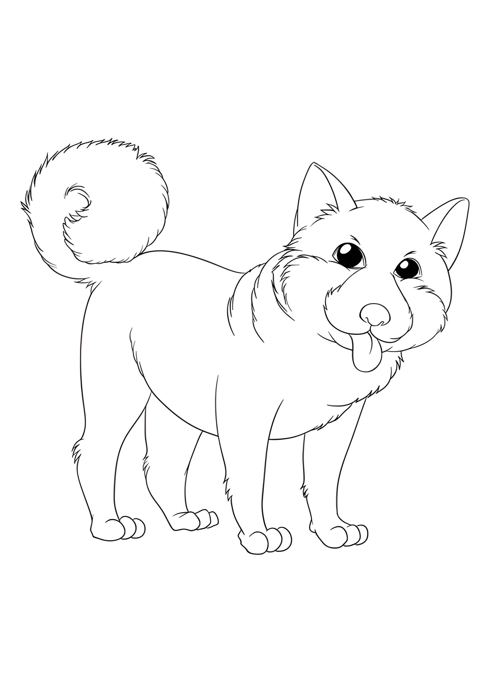 Раскраска Собака Сиба-ину