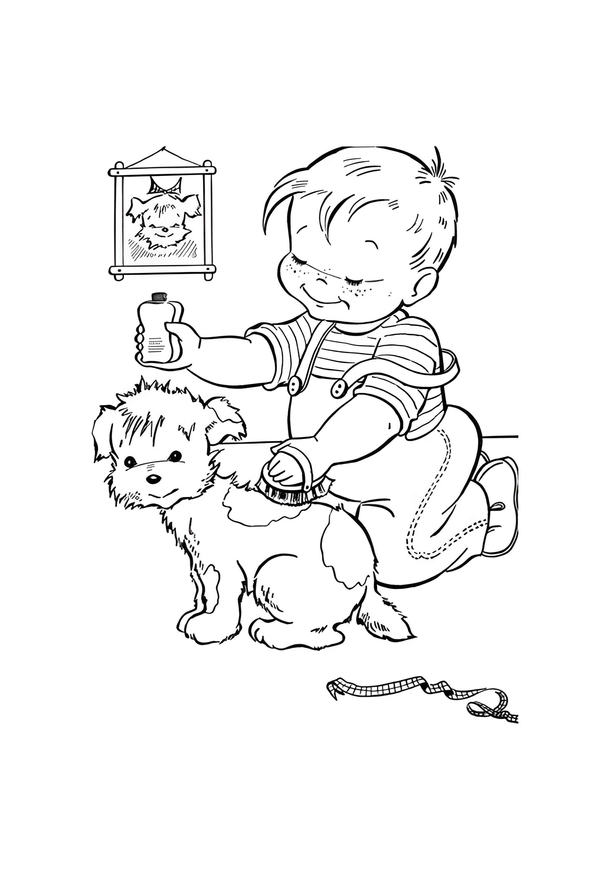 Раскраска Собаке причесывают шерстку