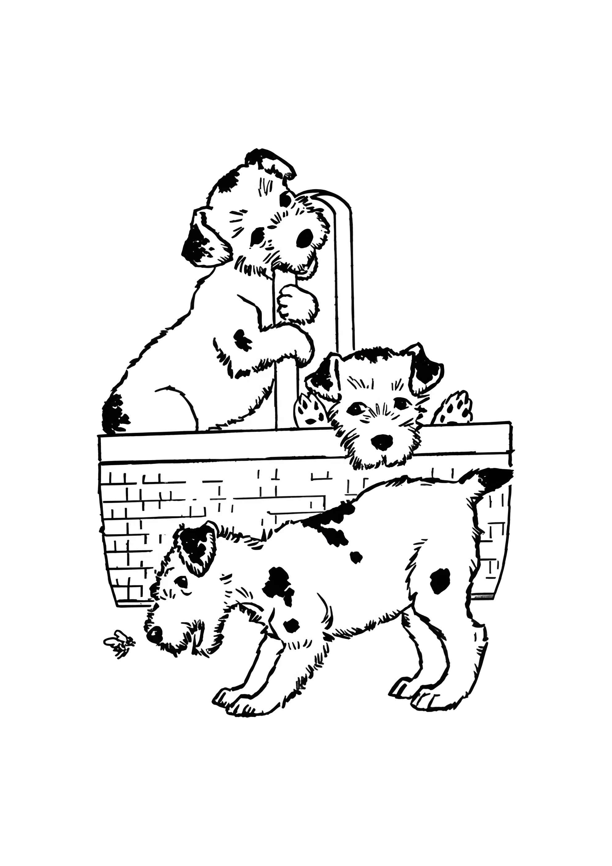 Раскраска Три собаки