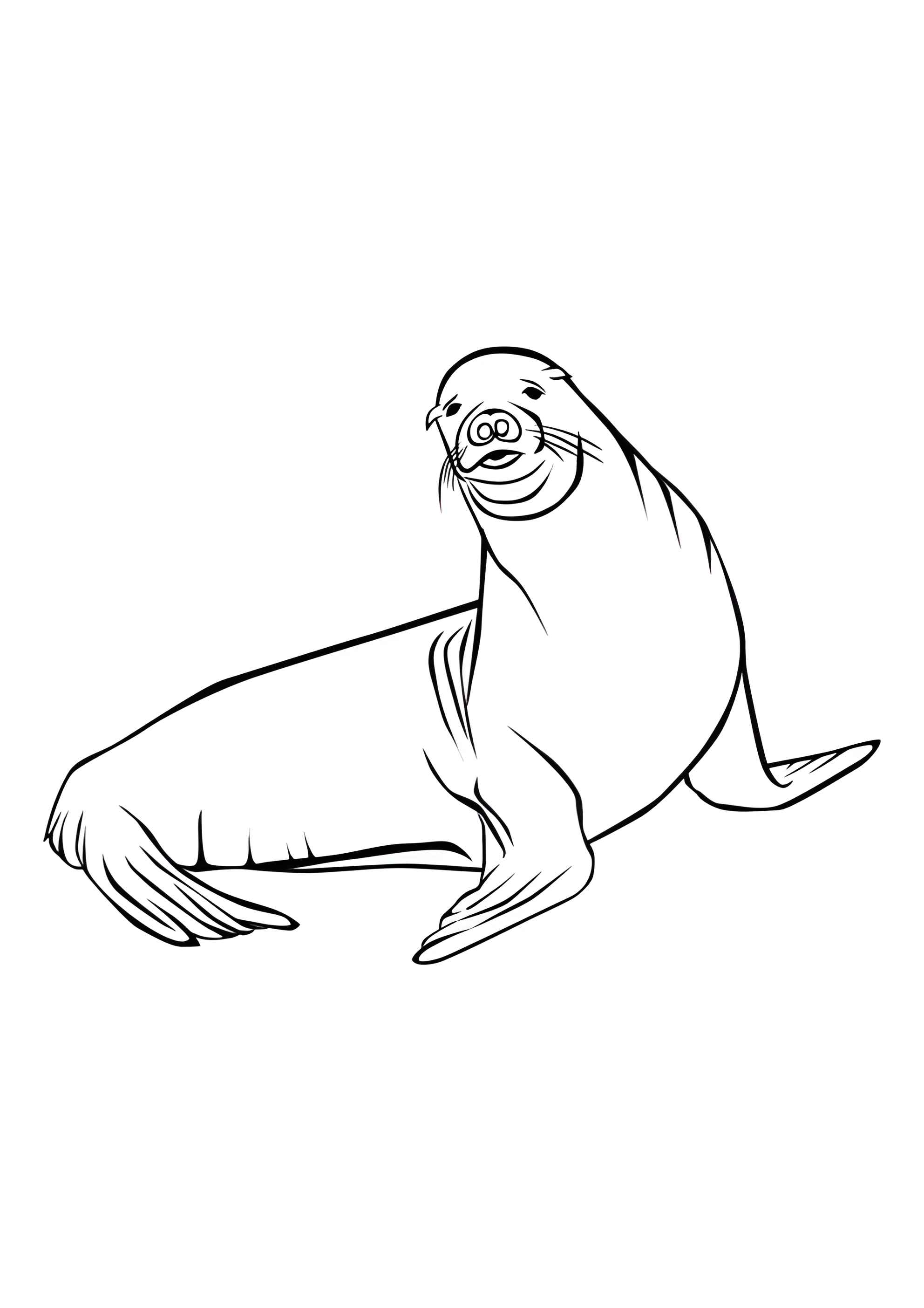 Раскраска Тюлень