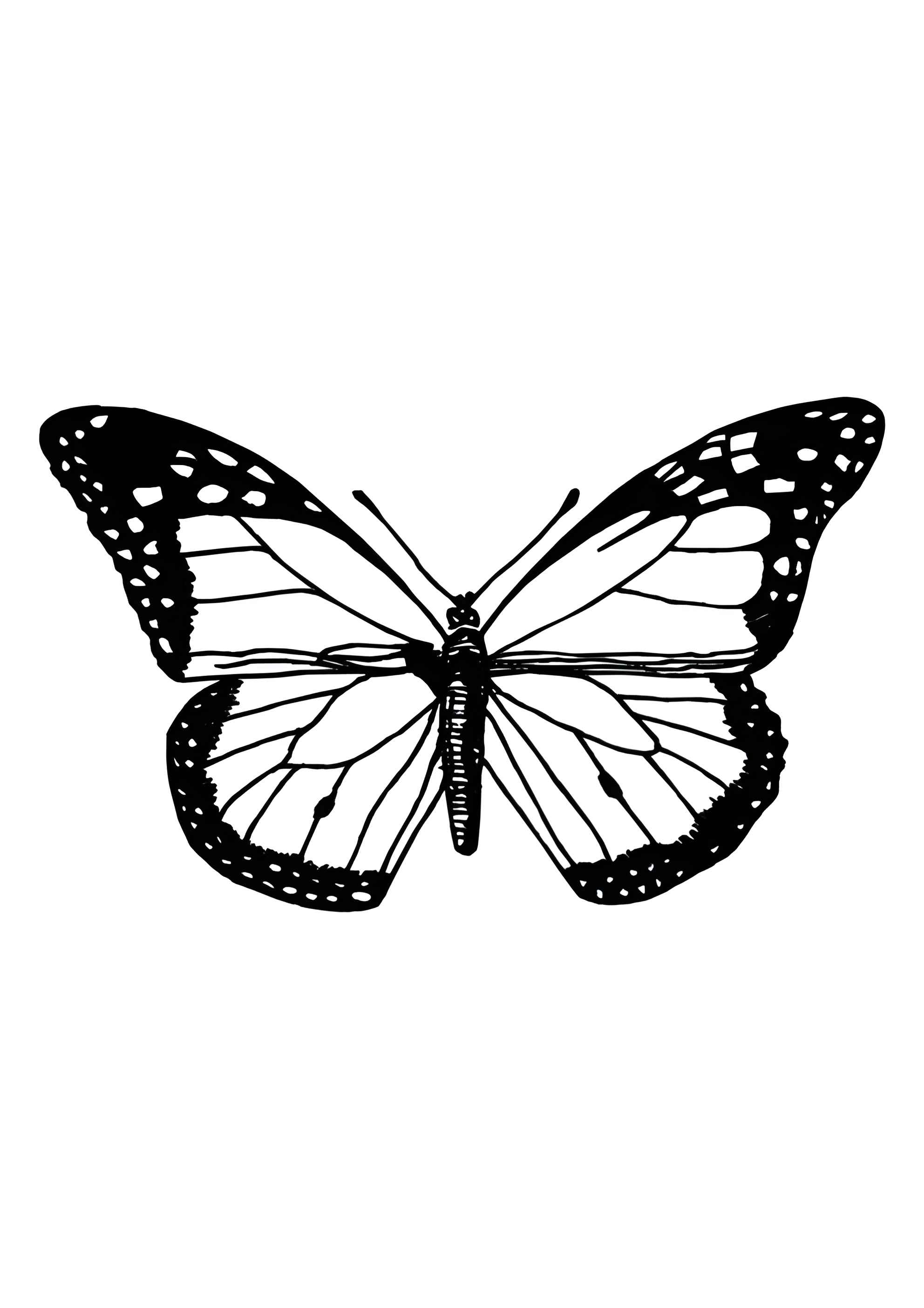 Раскраска Уставшая бабочка