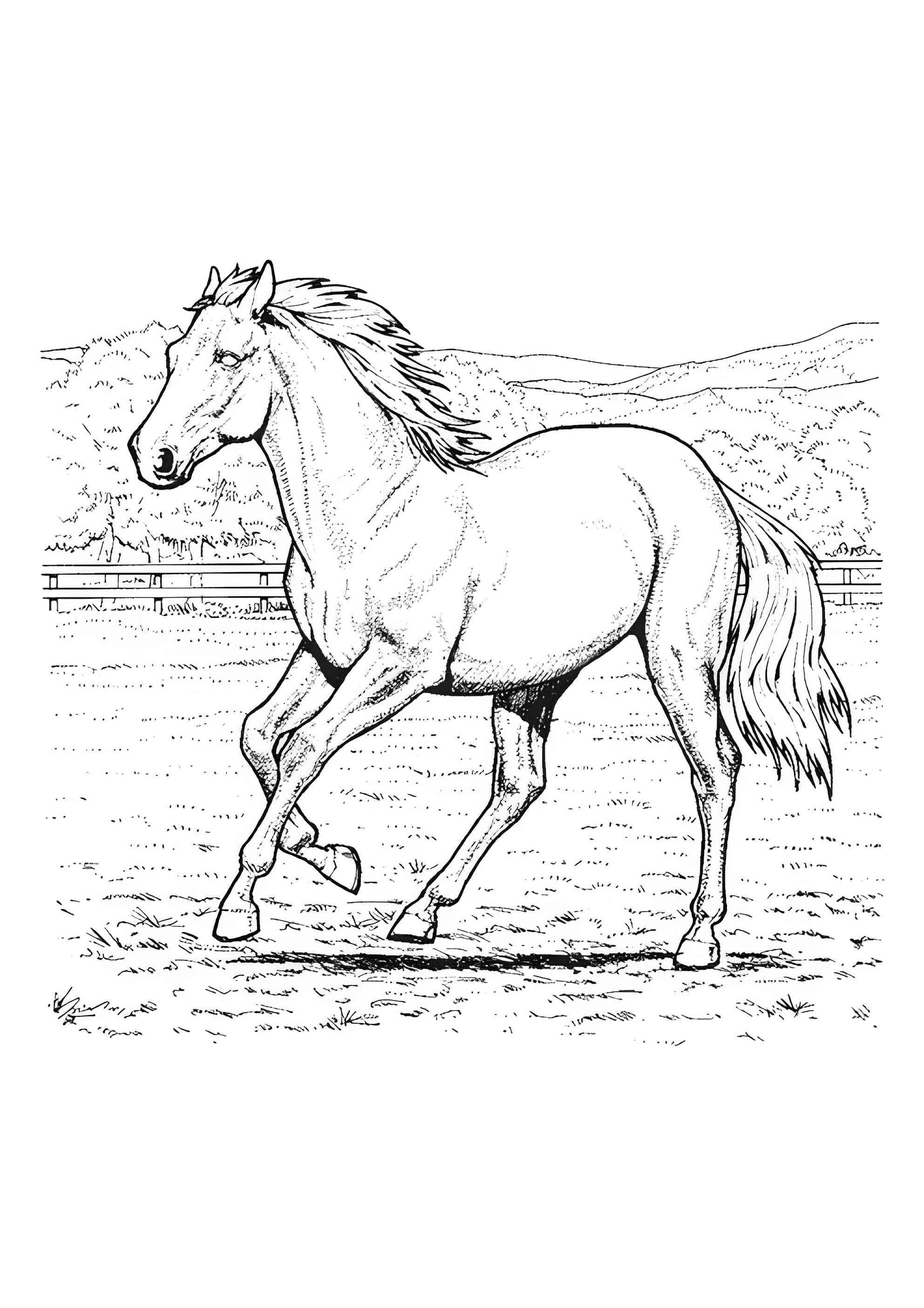Раскраска Выгул лошади