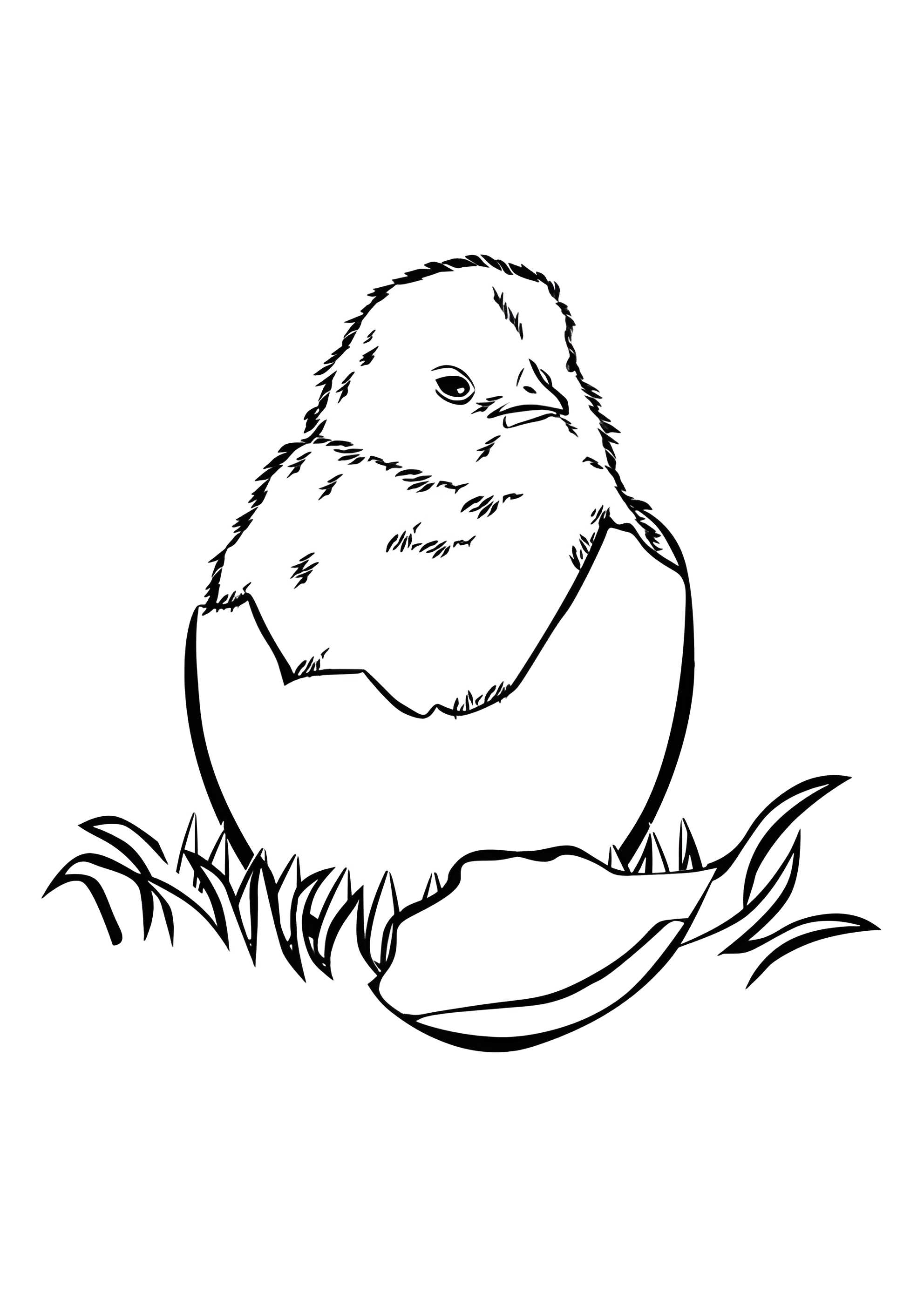 Раскраска Вылупившийся птенчик