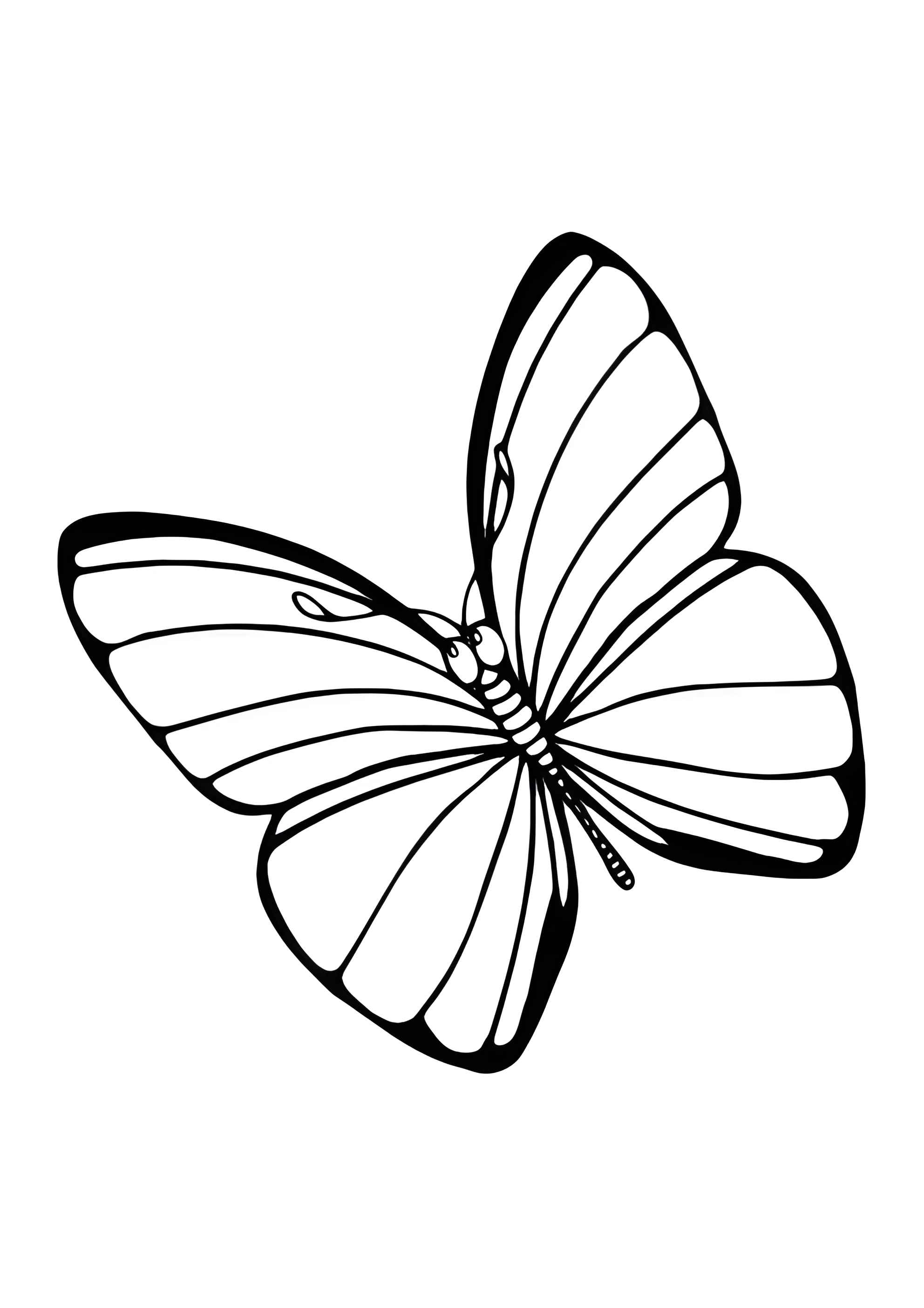 Раскраска Задумчивая бабочка