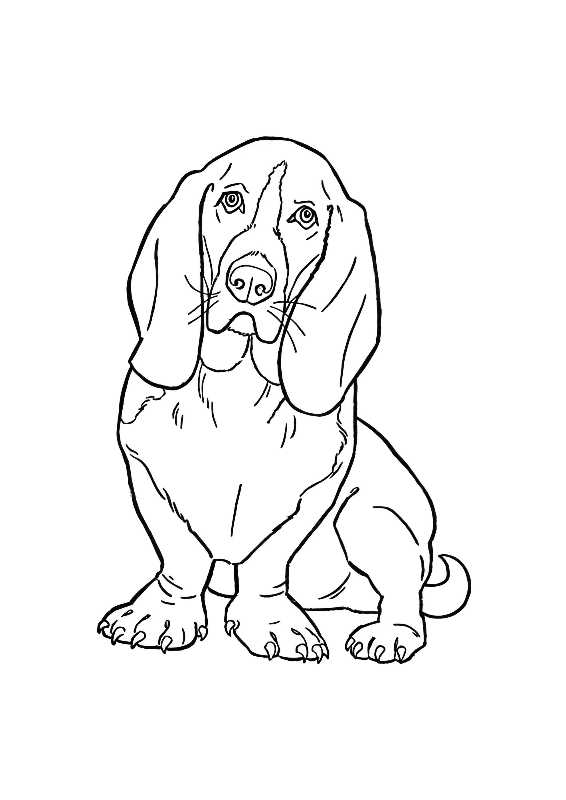 Раскраска Задумчивый пёс