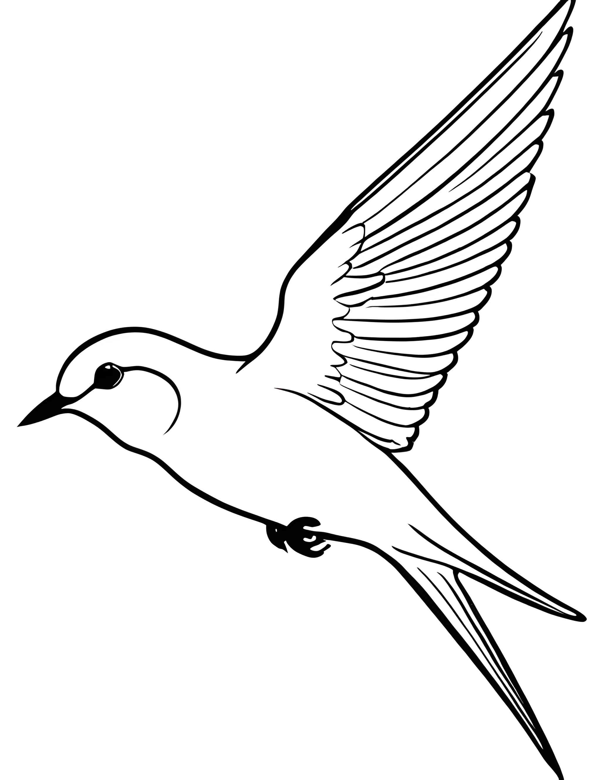Раскраска Стриж 31